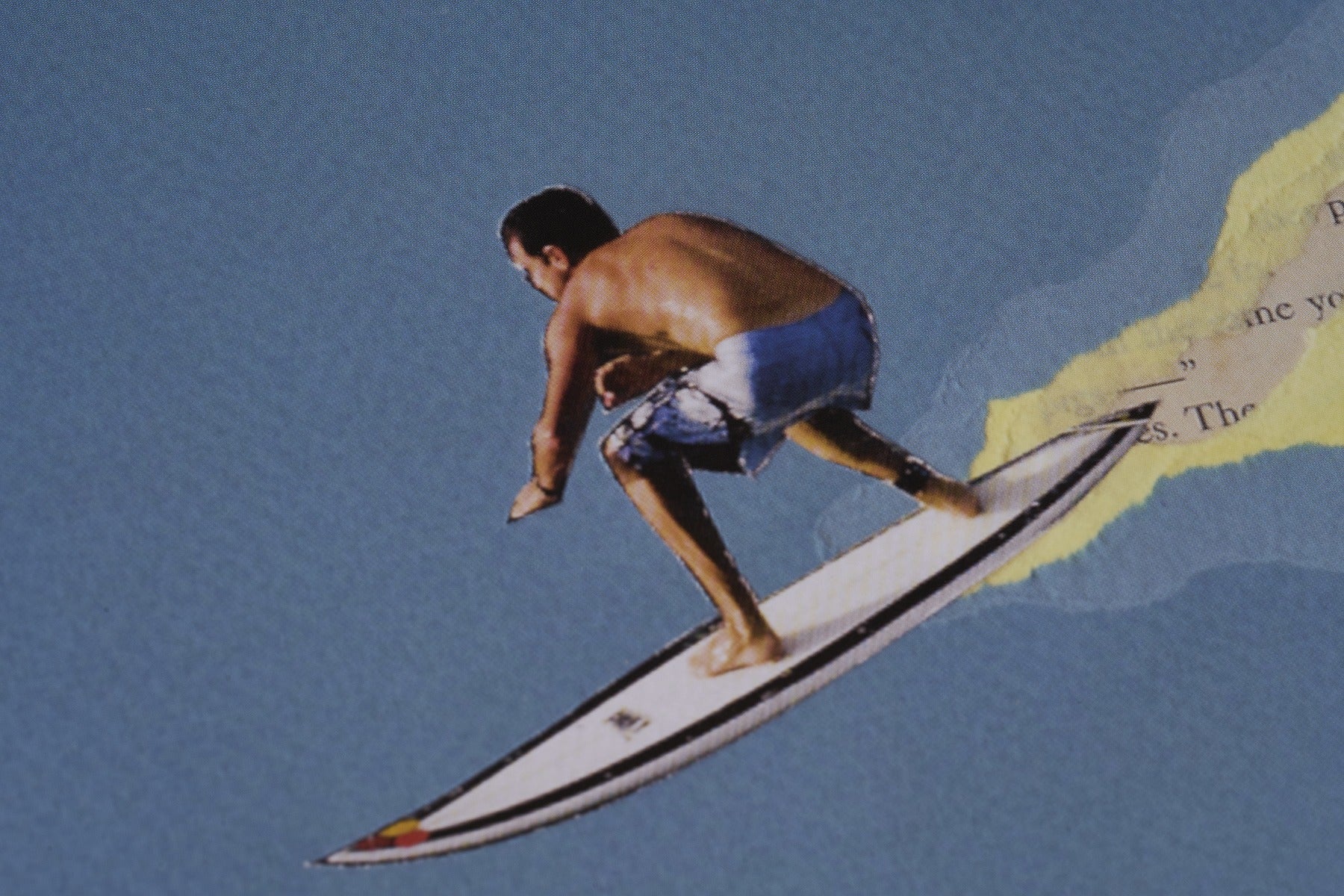 完売 【限定5枚】Northshore 直筆サイン入り / シエル・グルー