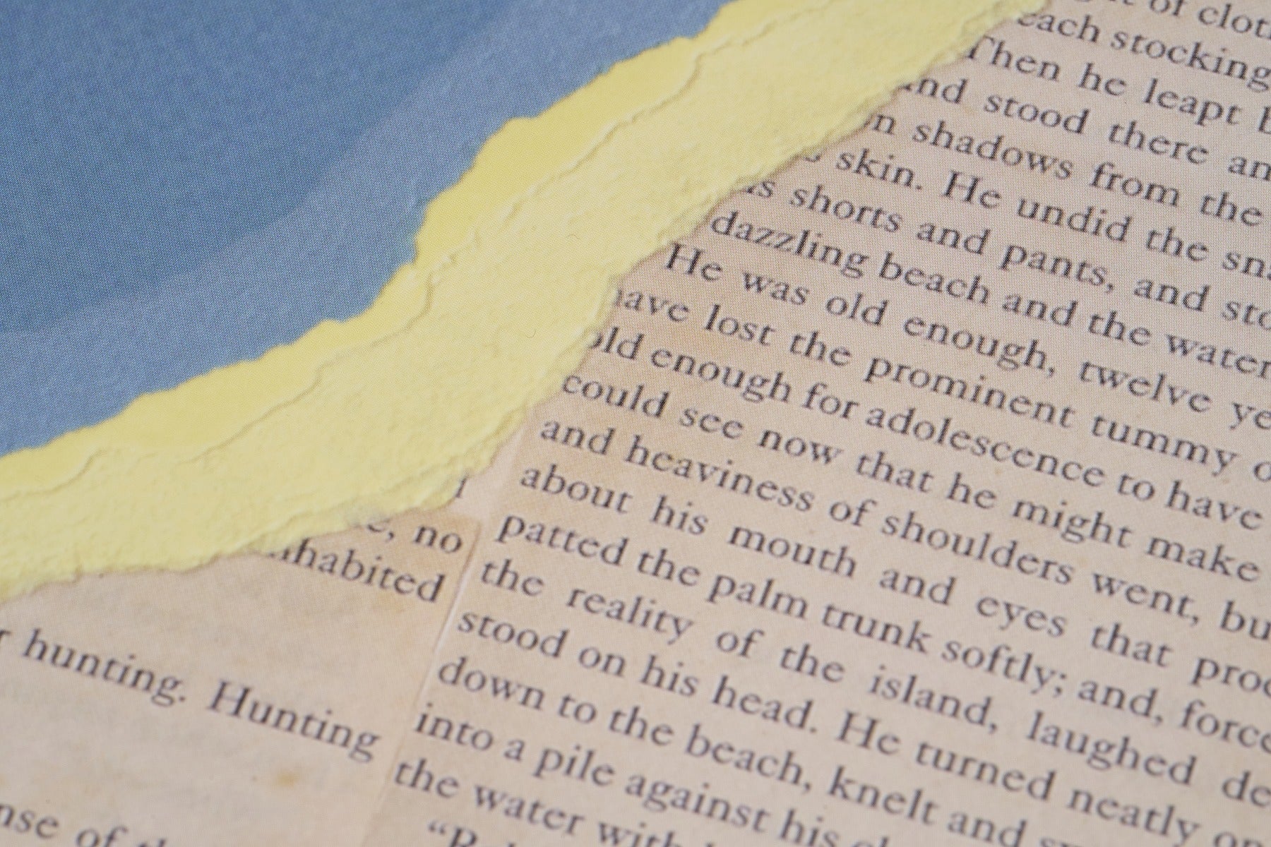 完売 【限定5枚】Northshore 直筆サイン入り / シエル・グルー