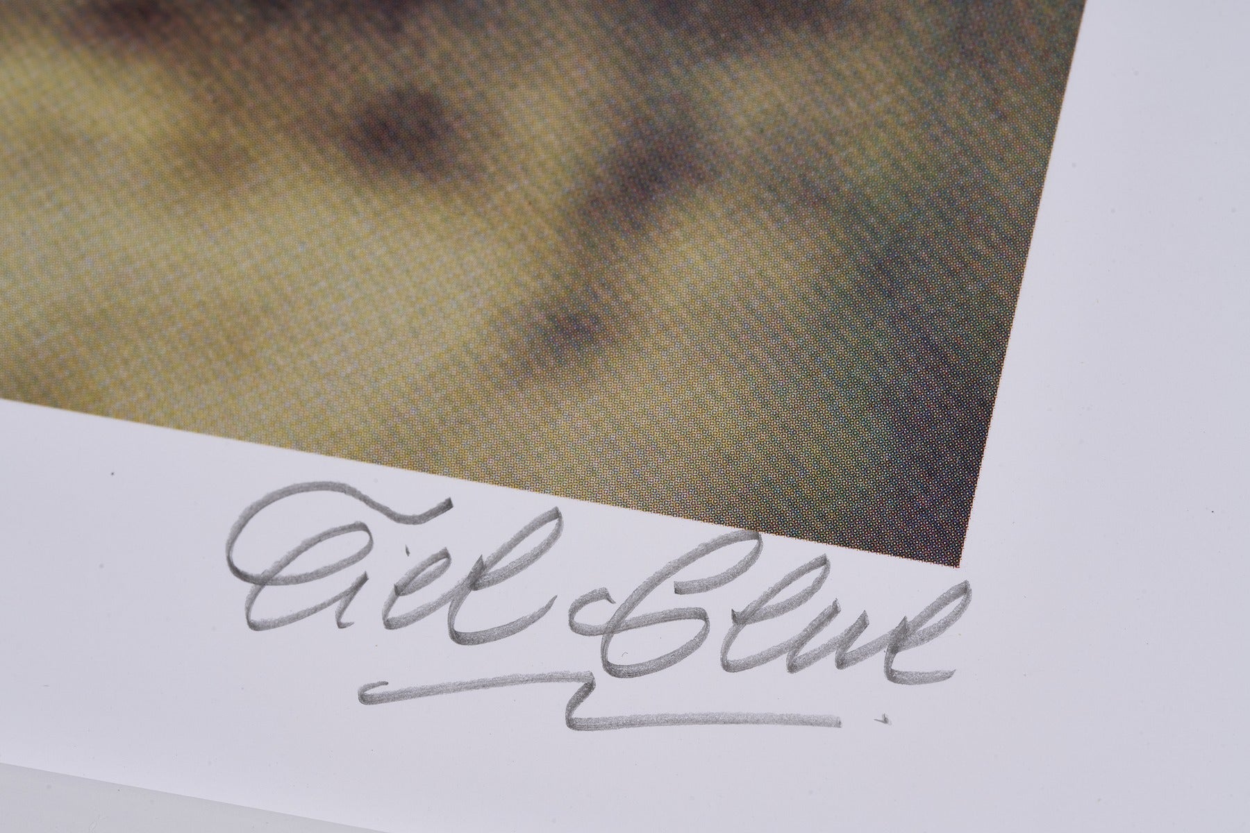 完売【限定5枚】Almagreira 直筆サイン入り / シエル・グルー