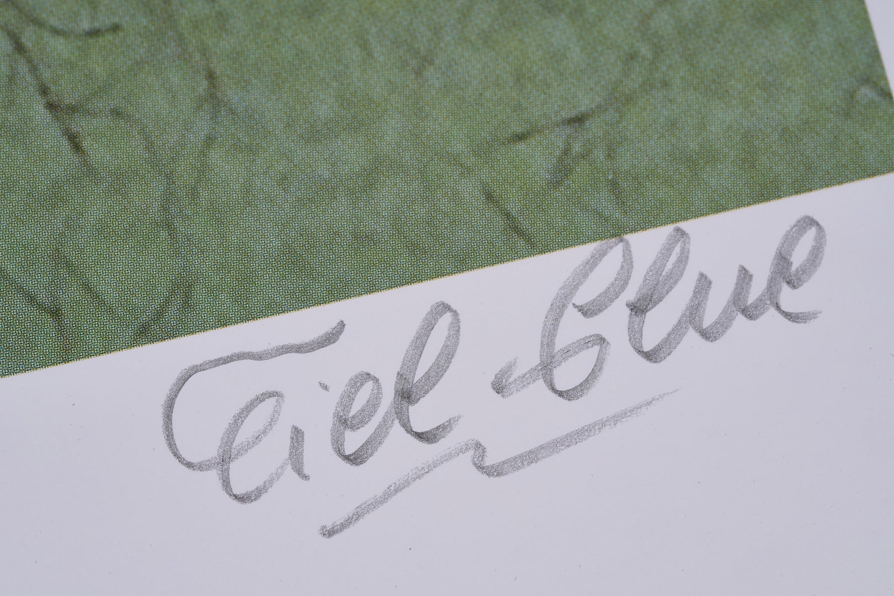 【限定5枚】Noosa 直筆サイン入り / シエル・グルー