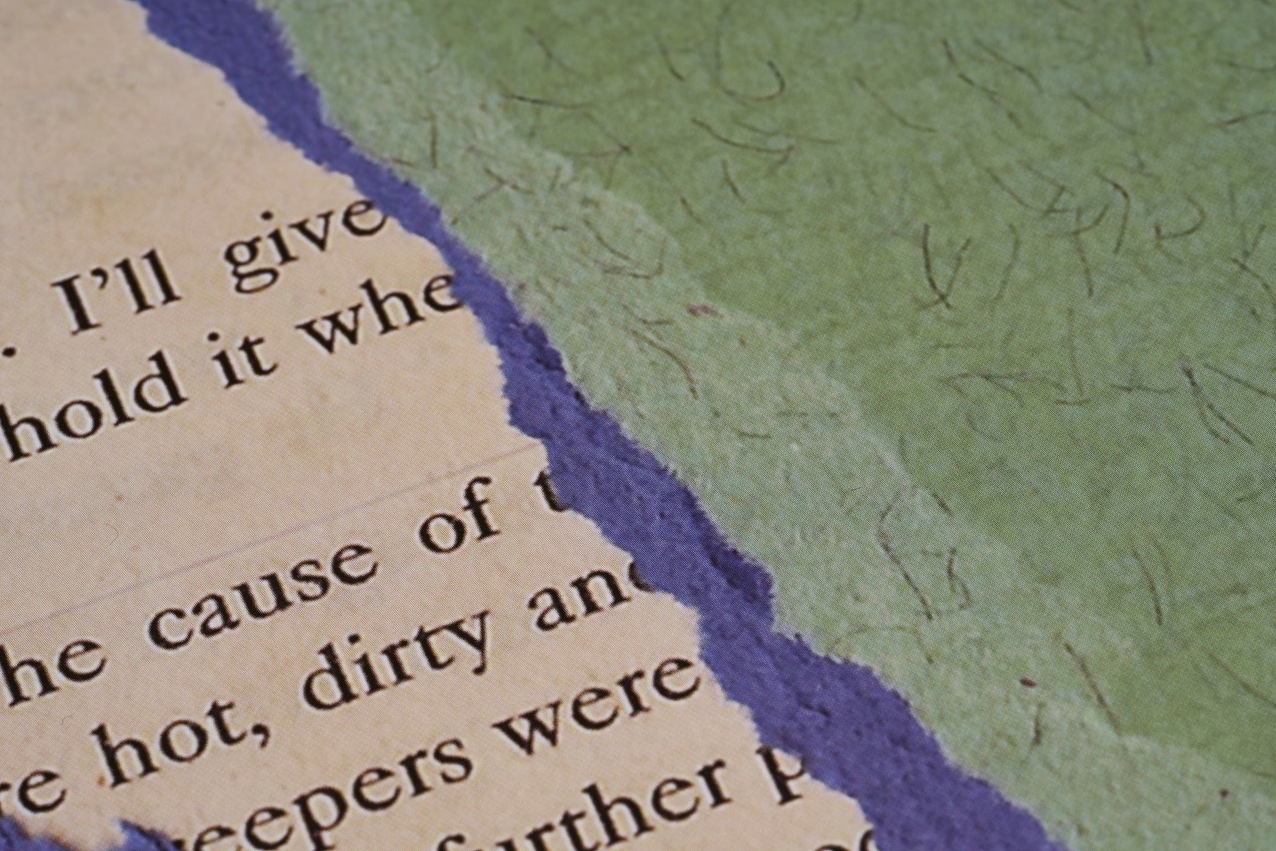 【限定5枚】Noosa 直筆サイン入り / シエル・グルー