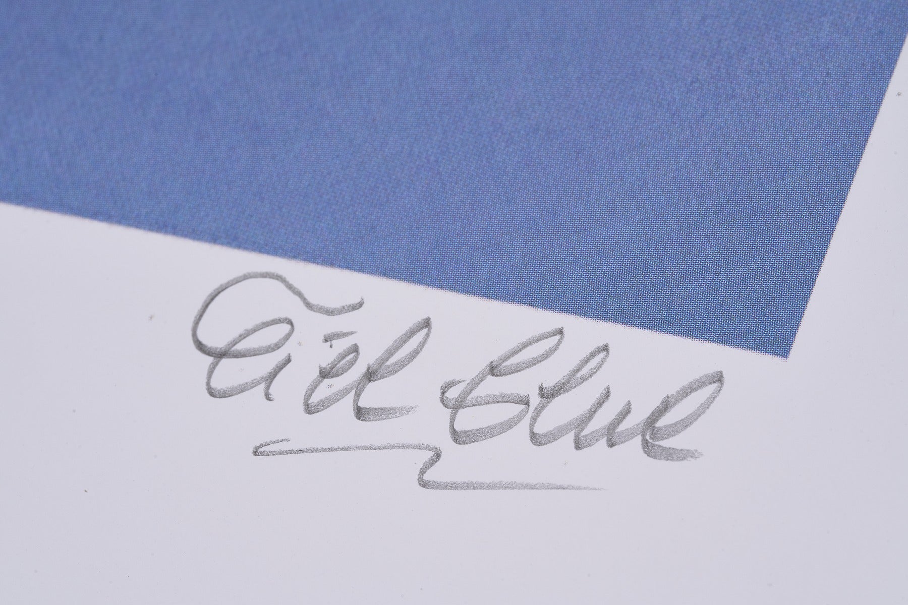 【限定5枚】Laniakea 直筆サイン入り / シエル・グルー