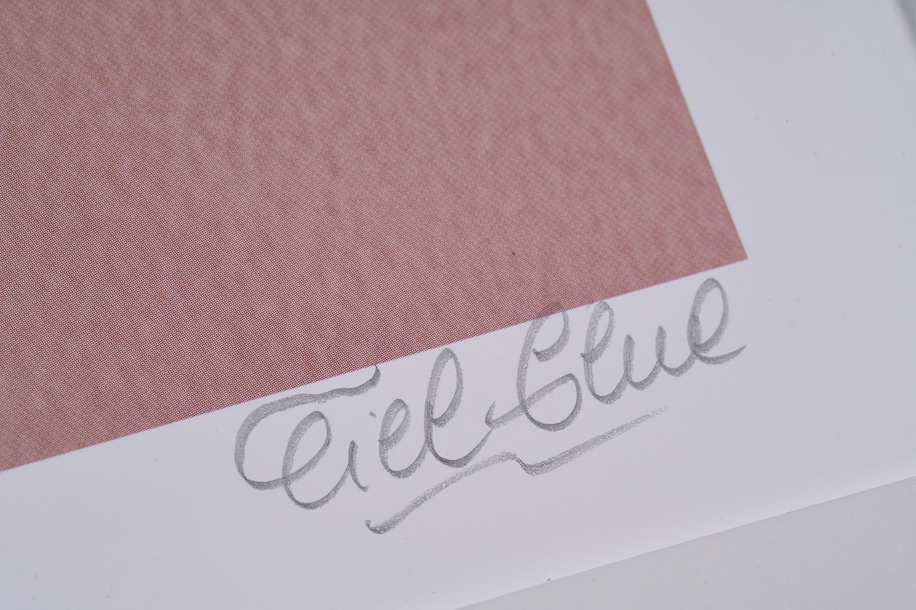 【限定5枚】Sayulita 直筆サイン入り / シエル・グルー