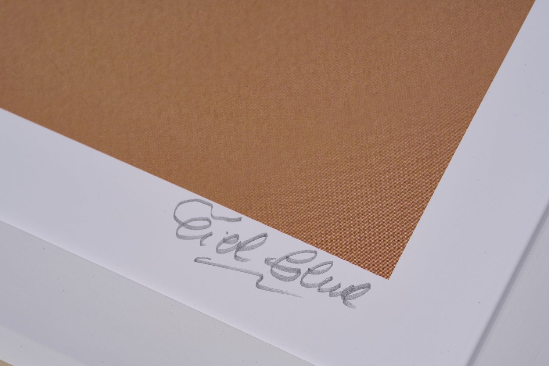 再入荷【限定3枚】Biarritz 直筆サイン入り / シエル・グルー