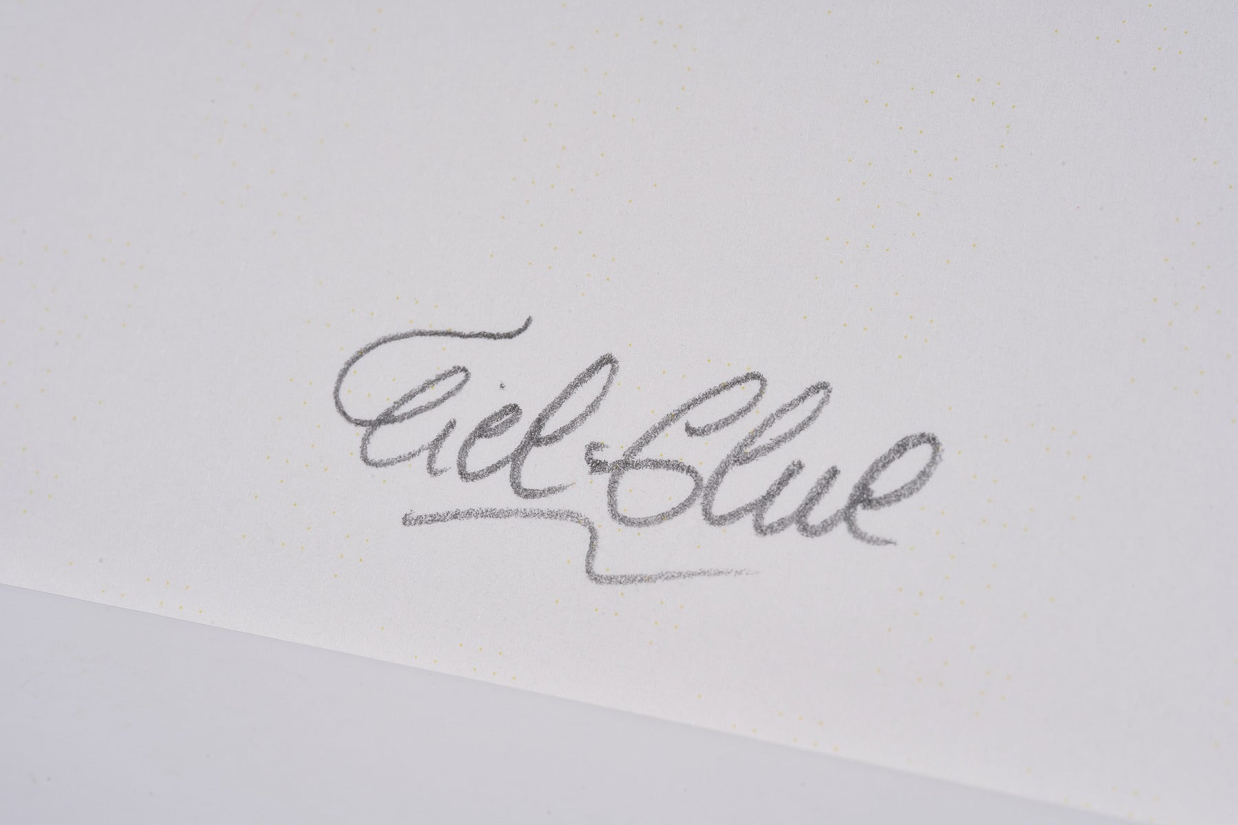 【限定5枚】Secret Spot 直筆サイン入り / シエル・グルー