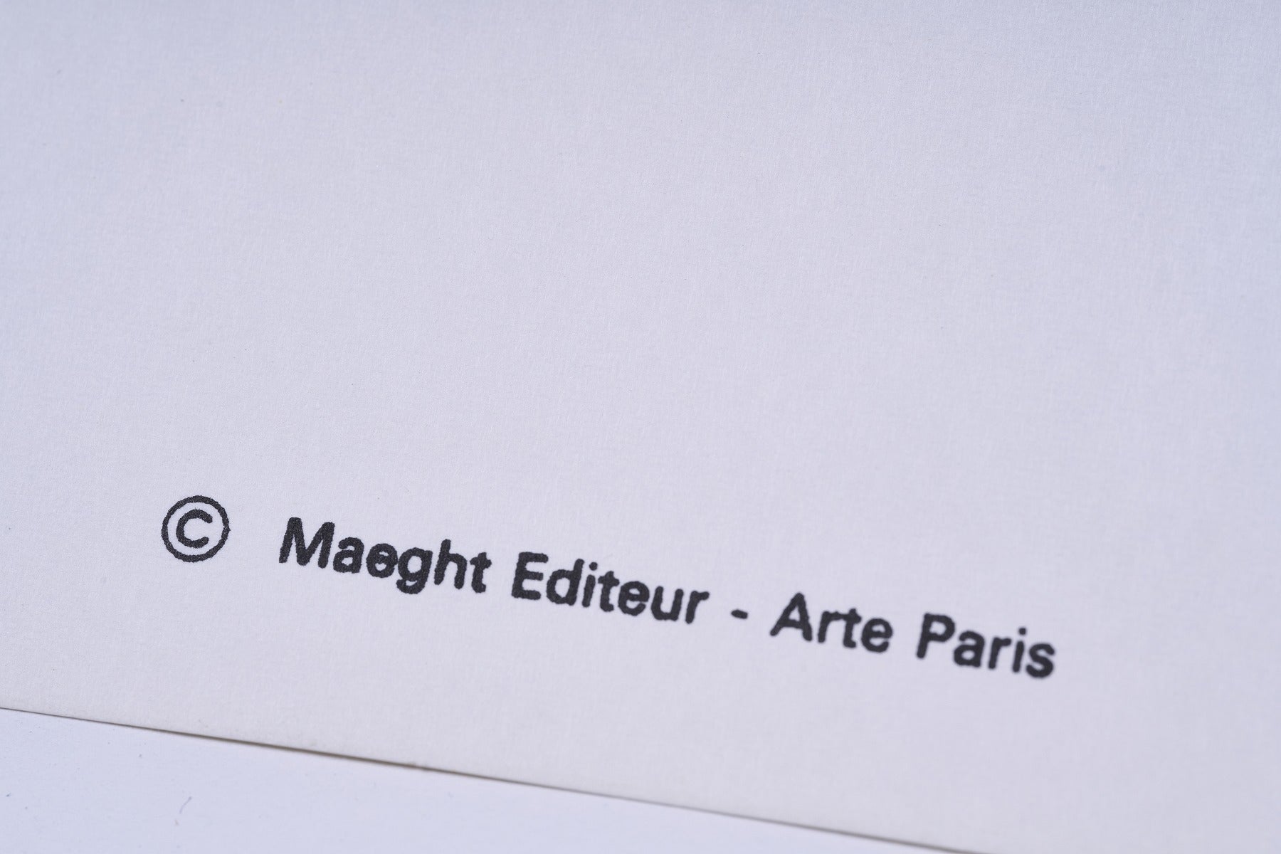 【限定10枚】VILLA MEDICI - DA BRAQUE A TAPIES 1968 / ジョルジュ・ブラック