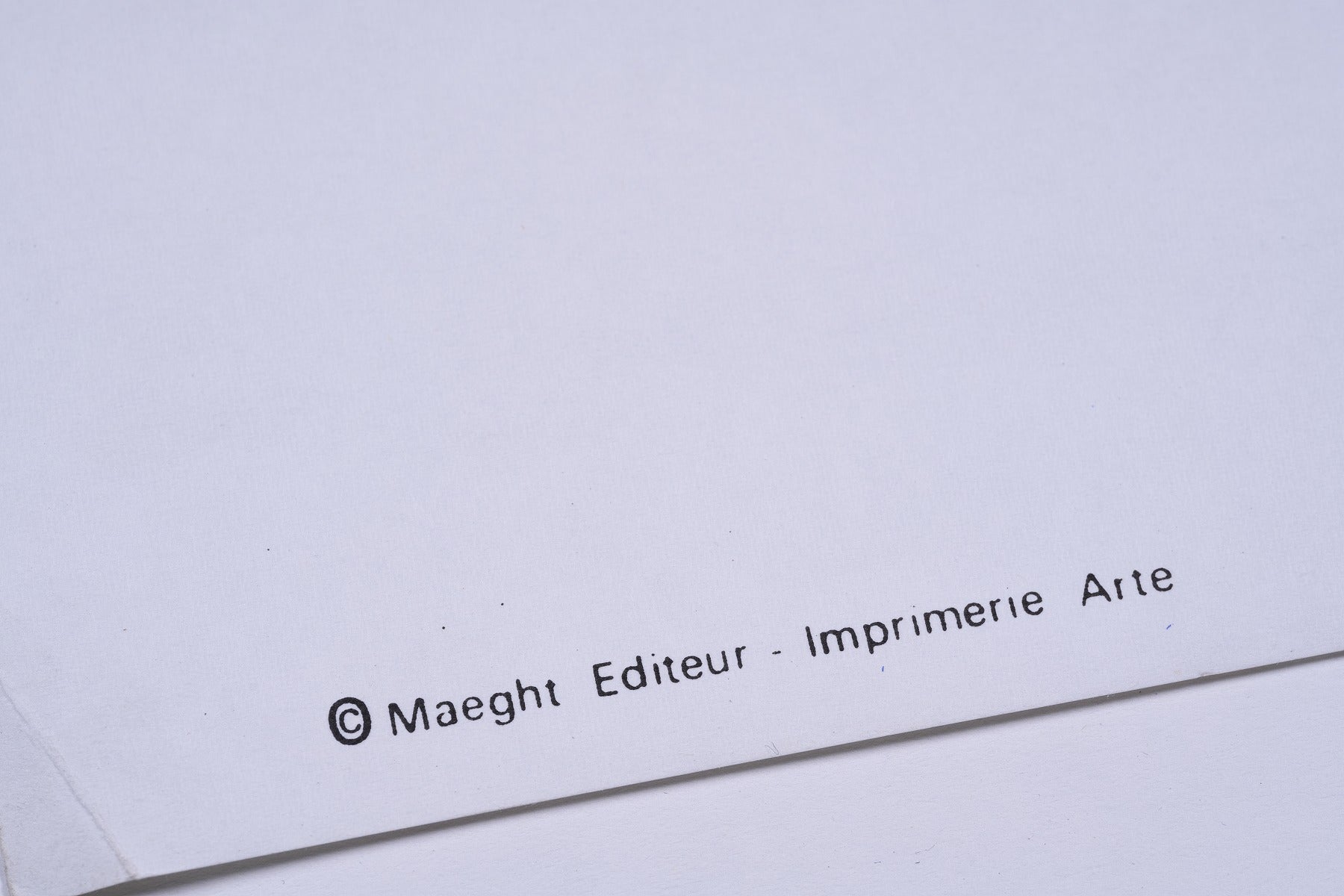 【限定10枚】L'Art Vivant aux Etats-Unis 1970 - Foundation Maeght / エルズワース・ケリー