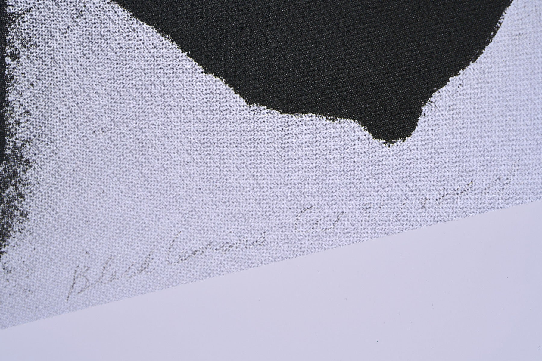 【限定10枚】Black Lemons 1990s / ドナルド・サルタン