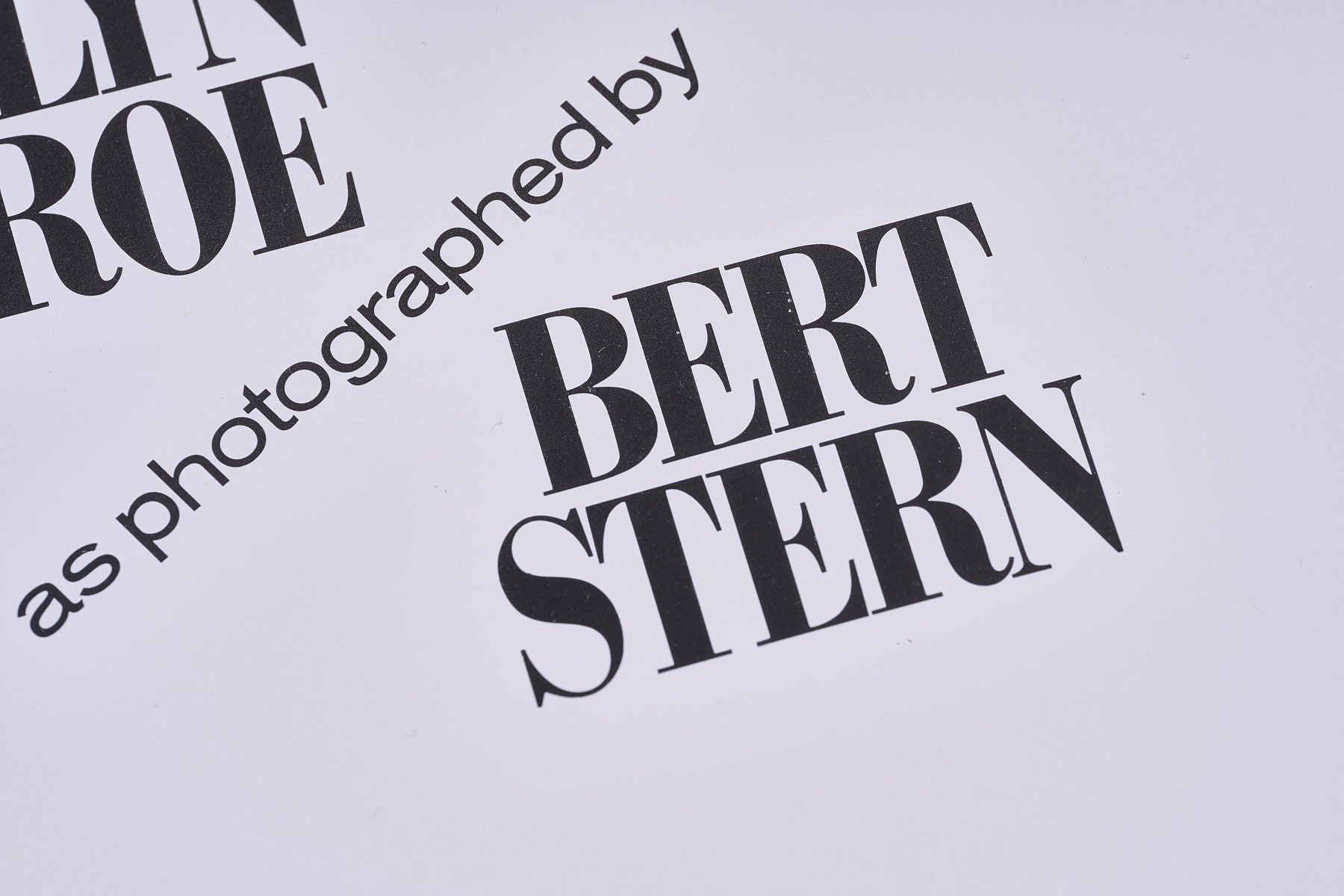 再入荷【限定5枚】Marilyn Monroe “The Last Sitting (Montage) 1990s / バート・スターン