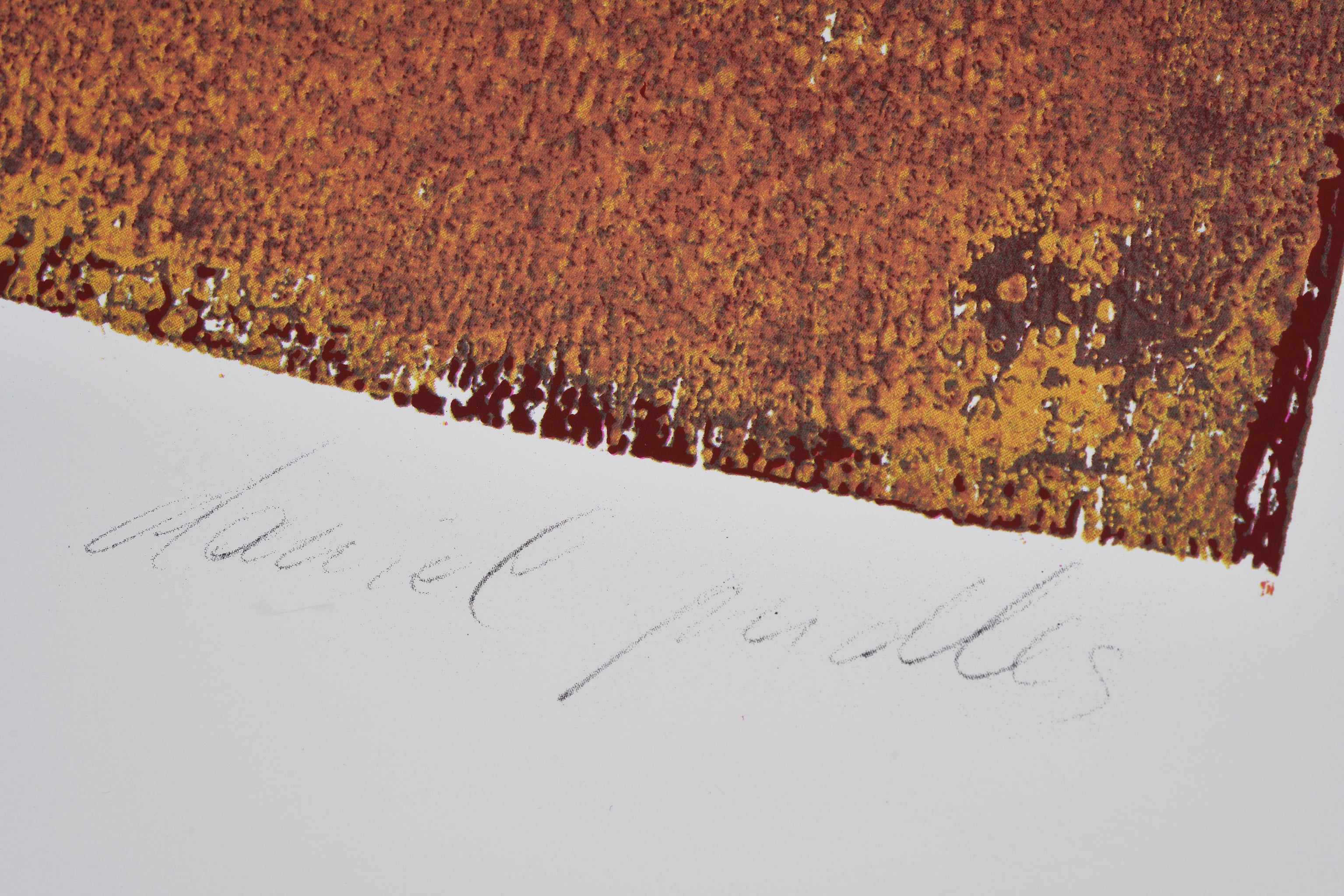 【限定10枚】WILLI'S WINE BAR 1991 / ダニエル・パドルズ