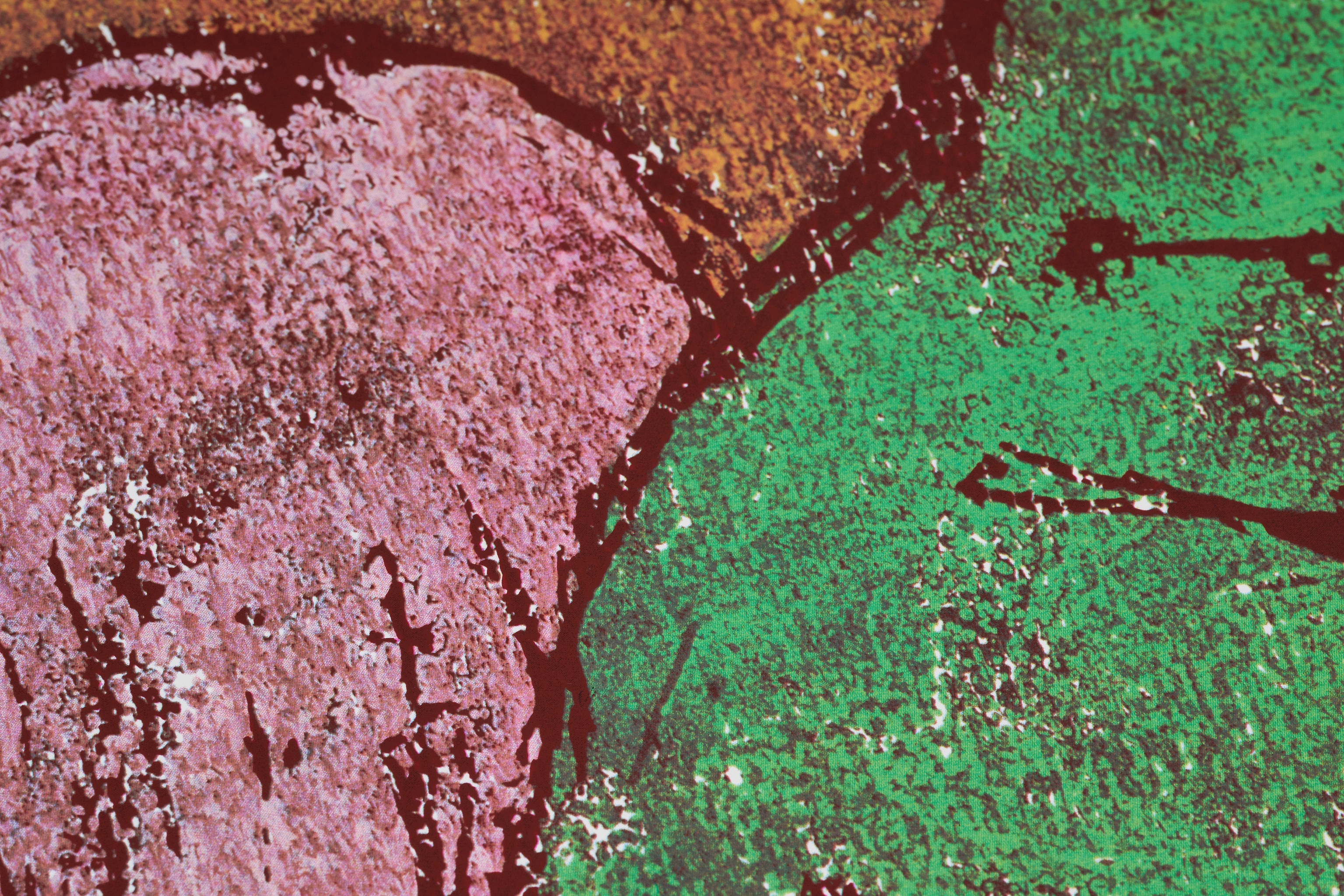 【限定10枚】WILLI'S WINE BAR 1991 / ダニエル・パドルズ