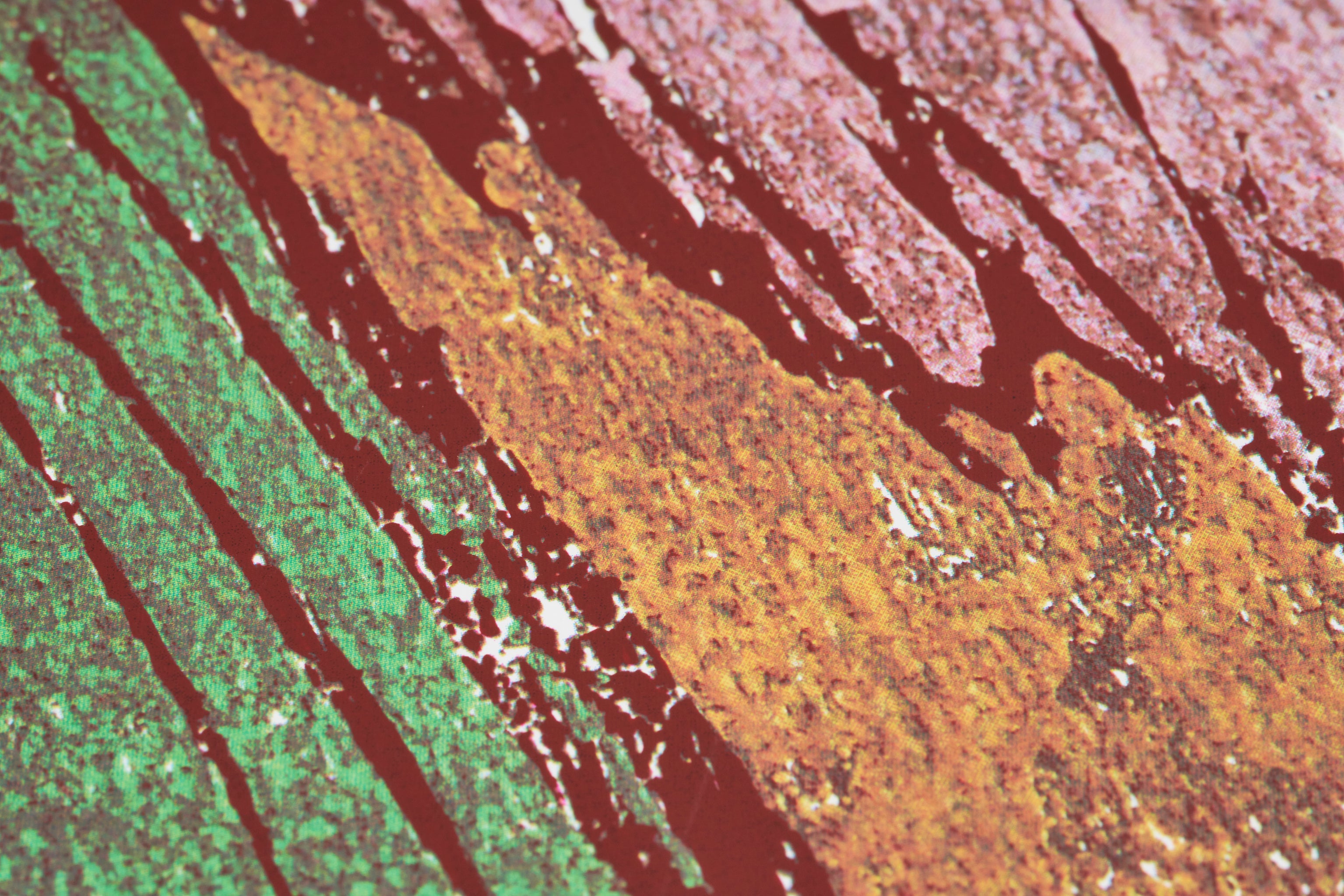 【限定10枚】WILLI'S WINE BAR 1991 / ダニエル・パドルズ