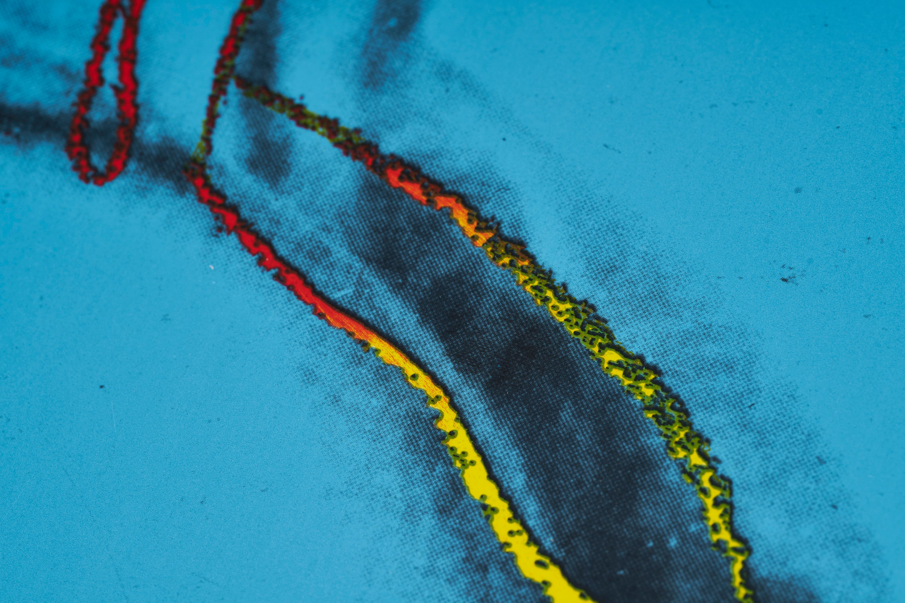 【限定10枚】QUERELLE 1982 / アンディ・ウォーホル