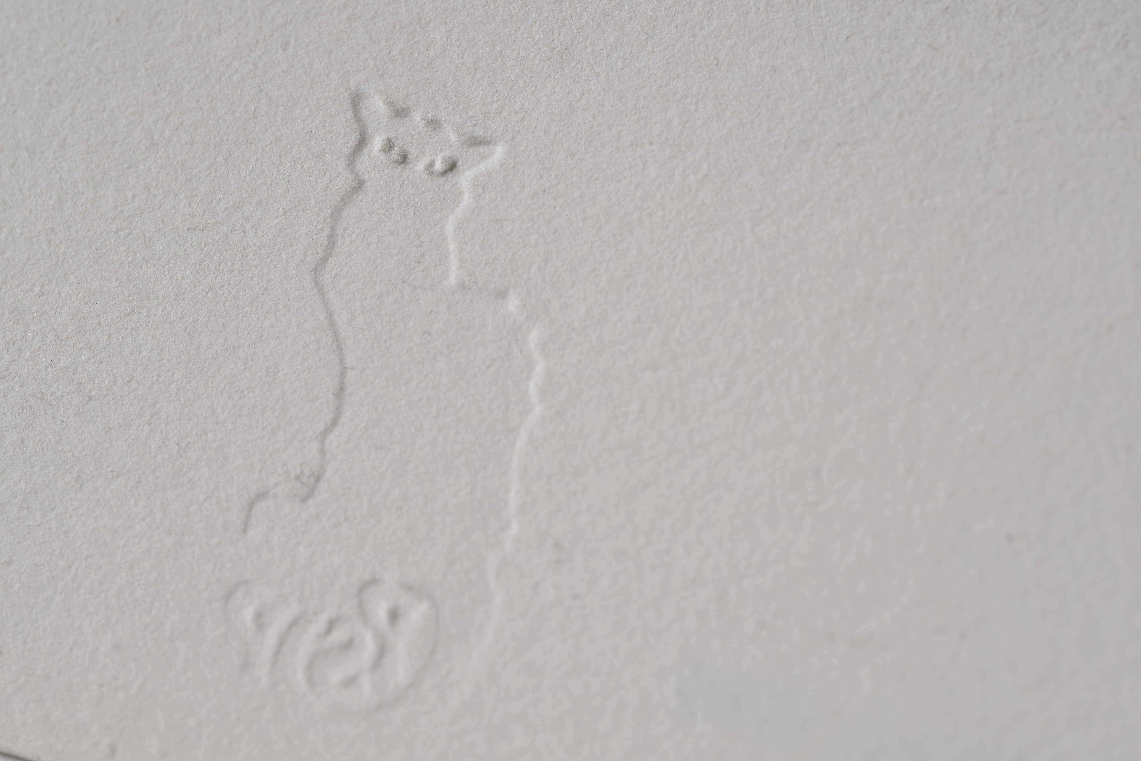 【限定10枚】PRINCEZNA HYACINTA 1911 - SPADEM Paris, VAGA New York 1980 / アルフォンス・ミュシャ