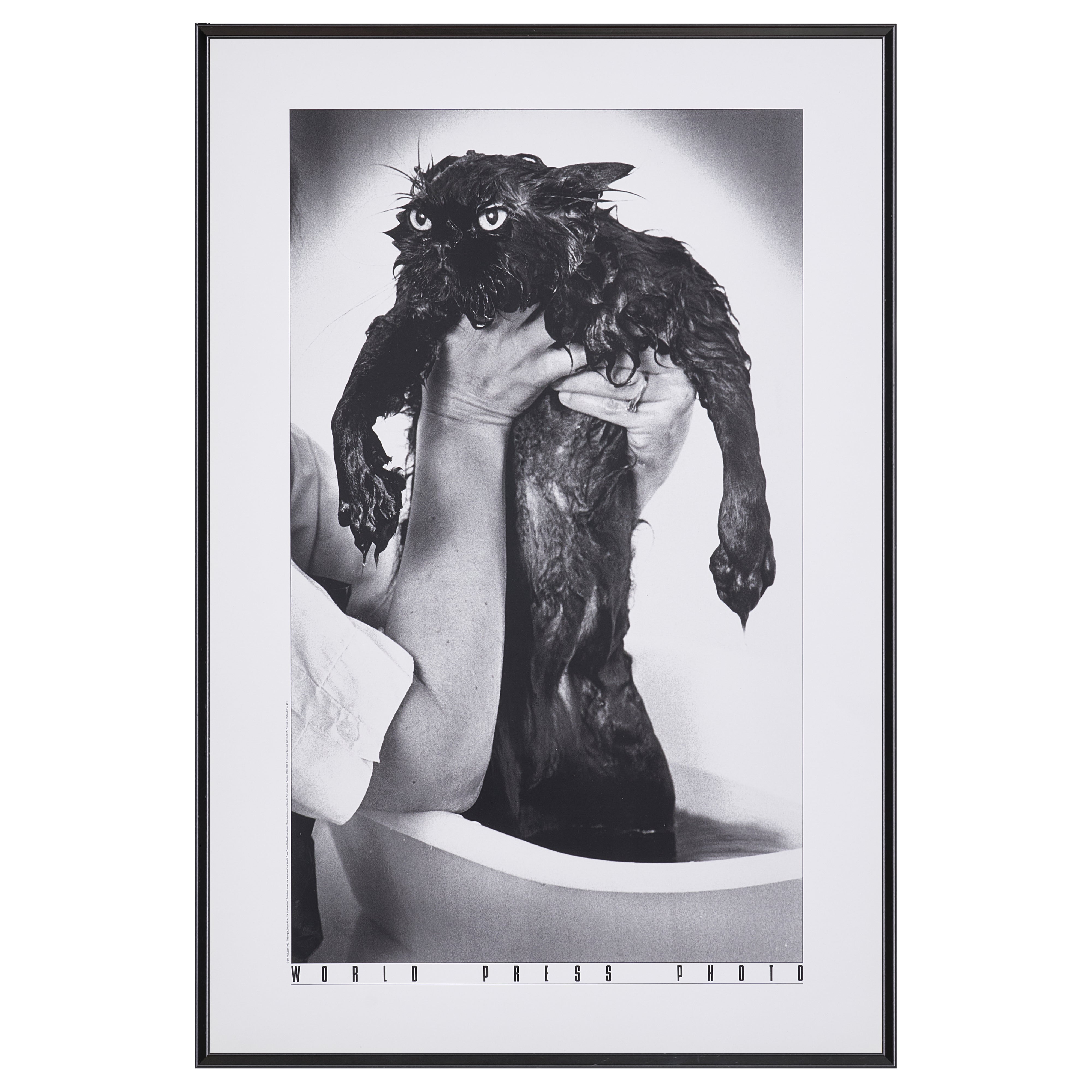 【限定20枚】A Drowned Cat 1982 - World Press Photo 1982 / ジム・マクラガン