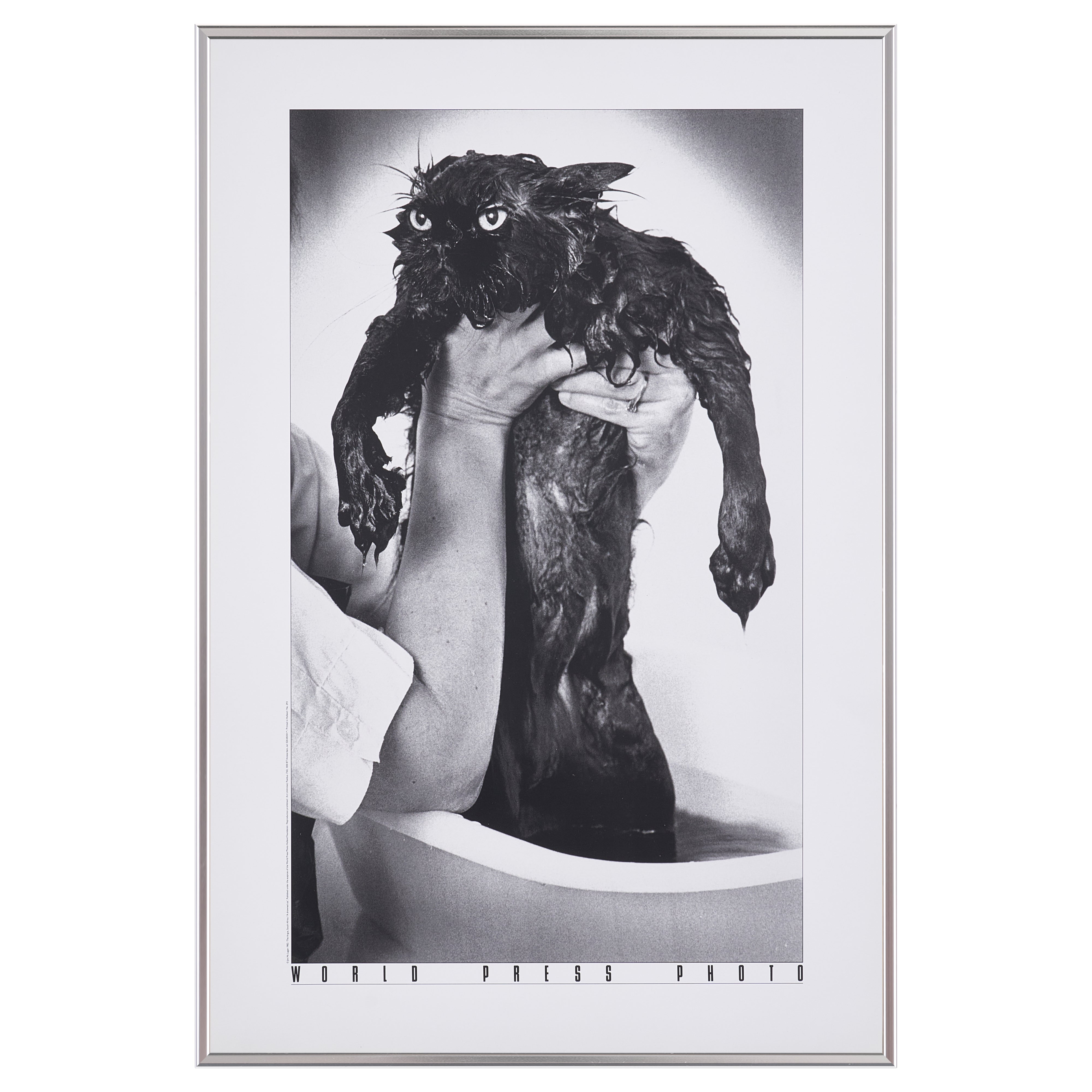 【限定20枚】A Drowned Cat 1982 - World Press Photo 1982 / ジム・マクラガン