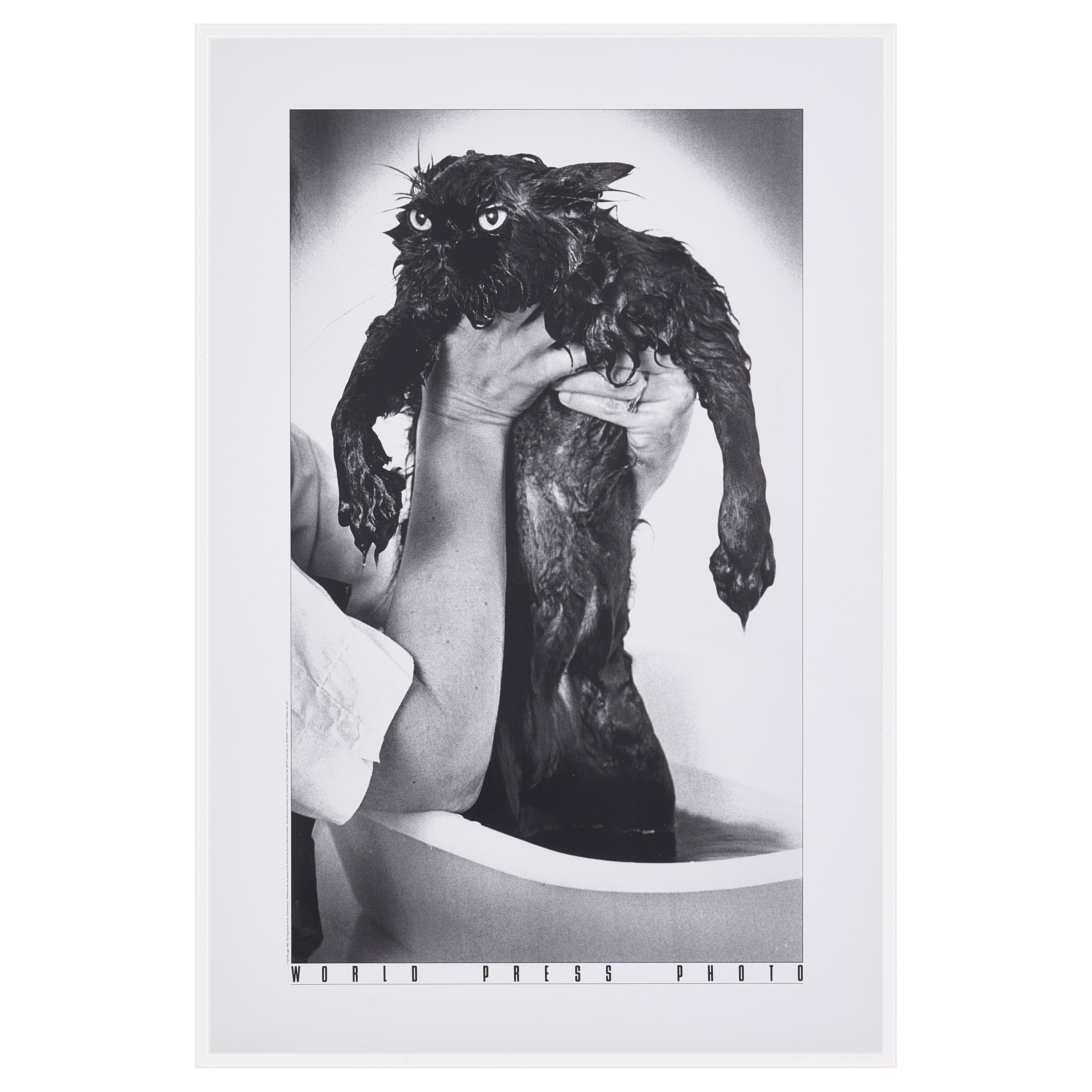 【限定20枚】A Drowned Cat 1982 - World Press Photo 1982 / ジム・マクラガン