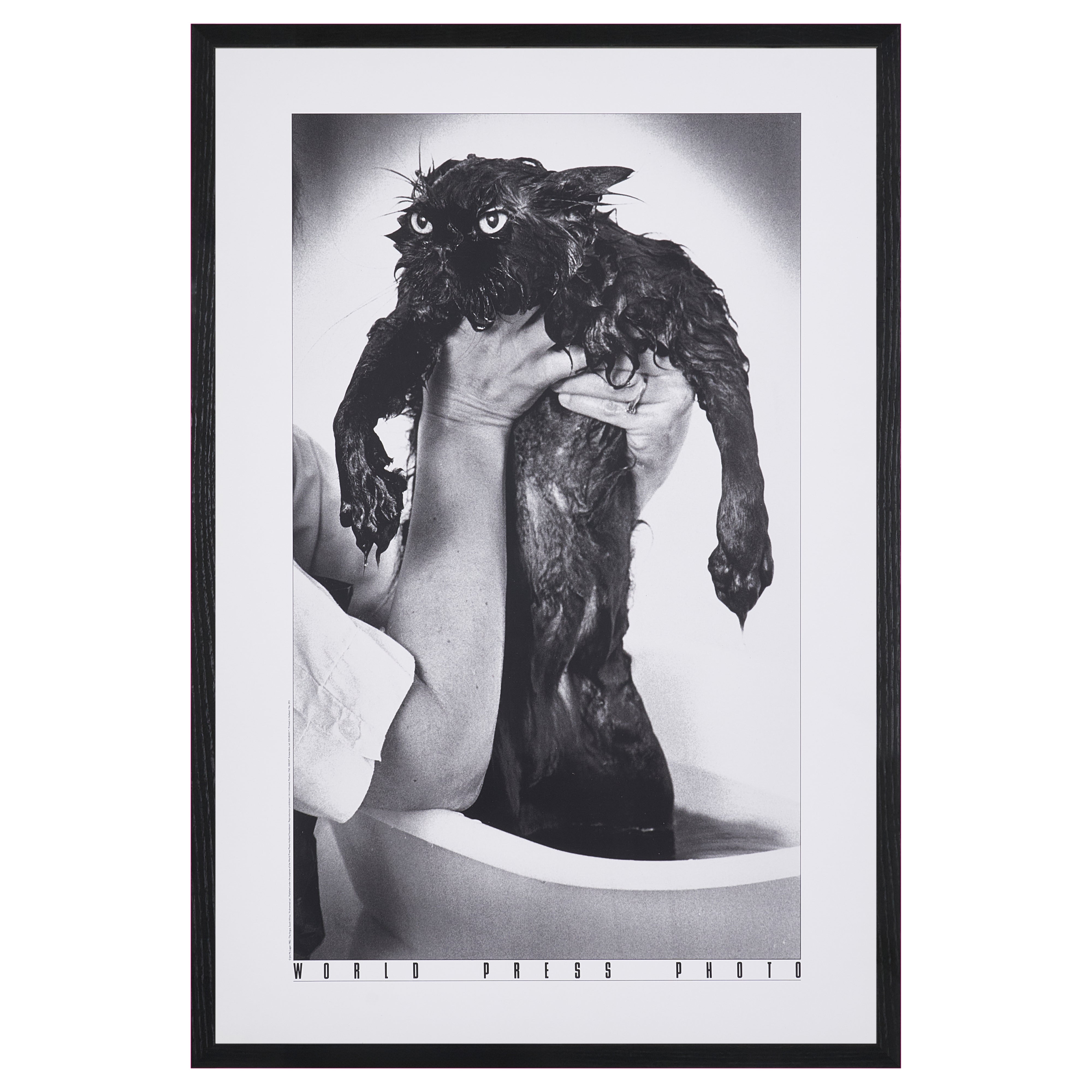 【限定20枚】A Drowned Cat 1982 - World Press Photo 1982 / ジム・マクラガン