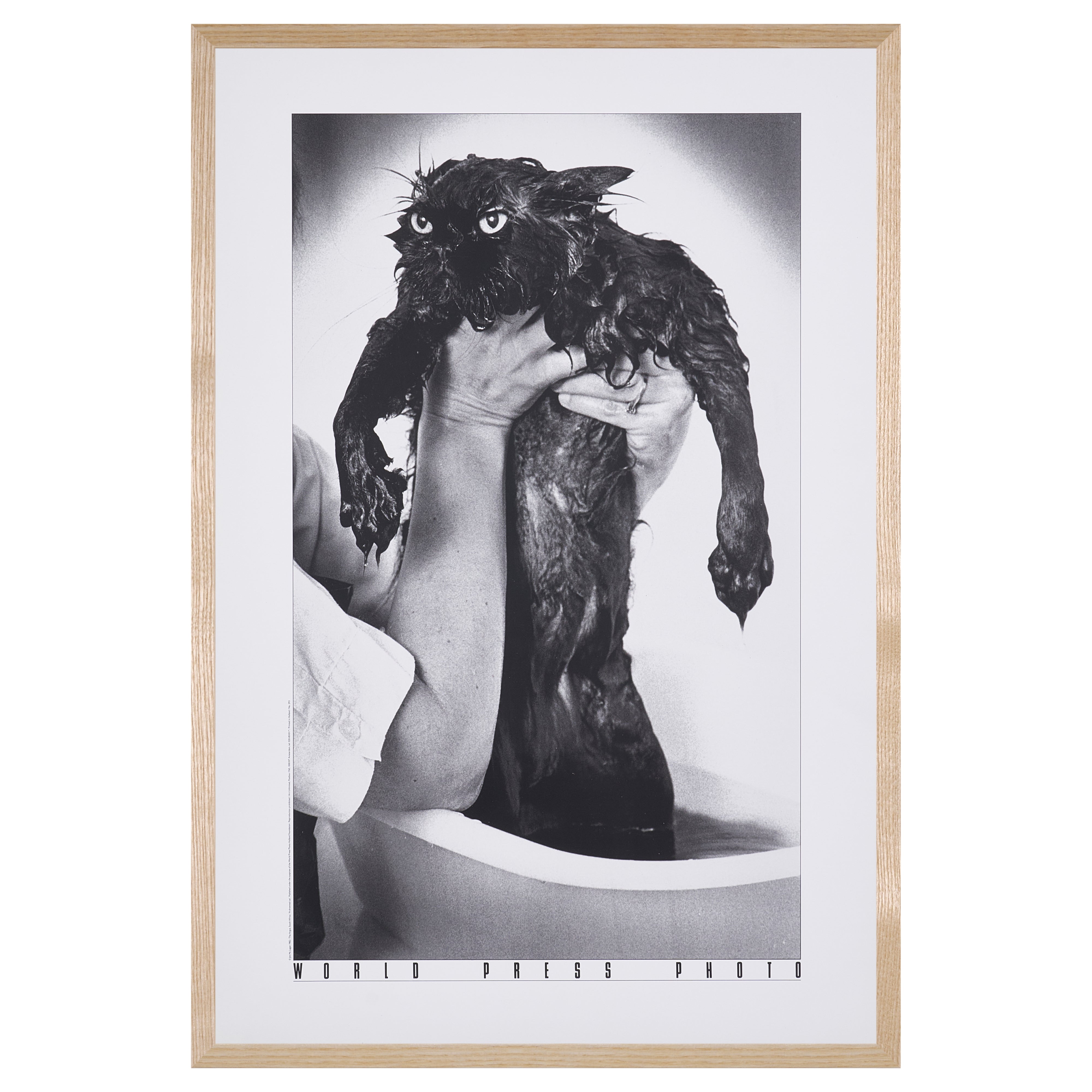 【限定20枚】A Drowned Cat 1982 - World Press Photo 1982 / ジム・マクラガン