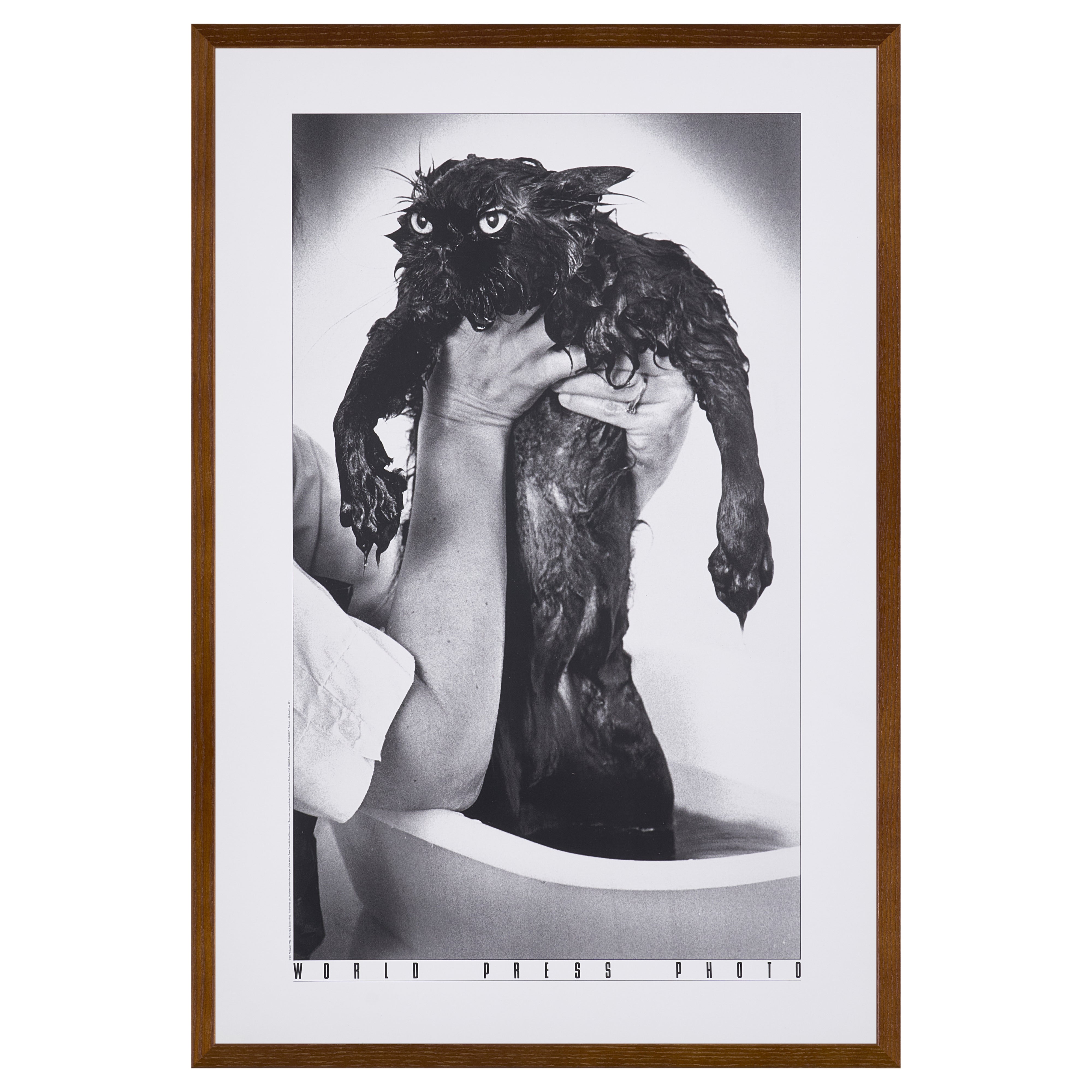 【限定20枚】A Drowned Cat 1982 - World Press Photo 1982 / ジム・マクラガン