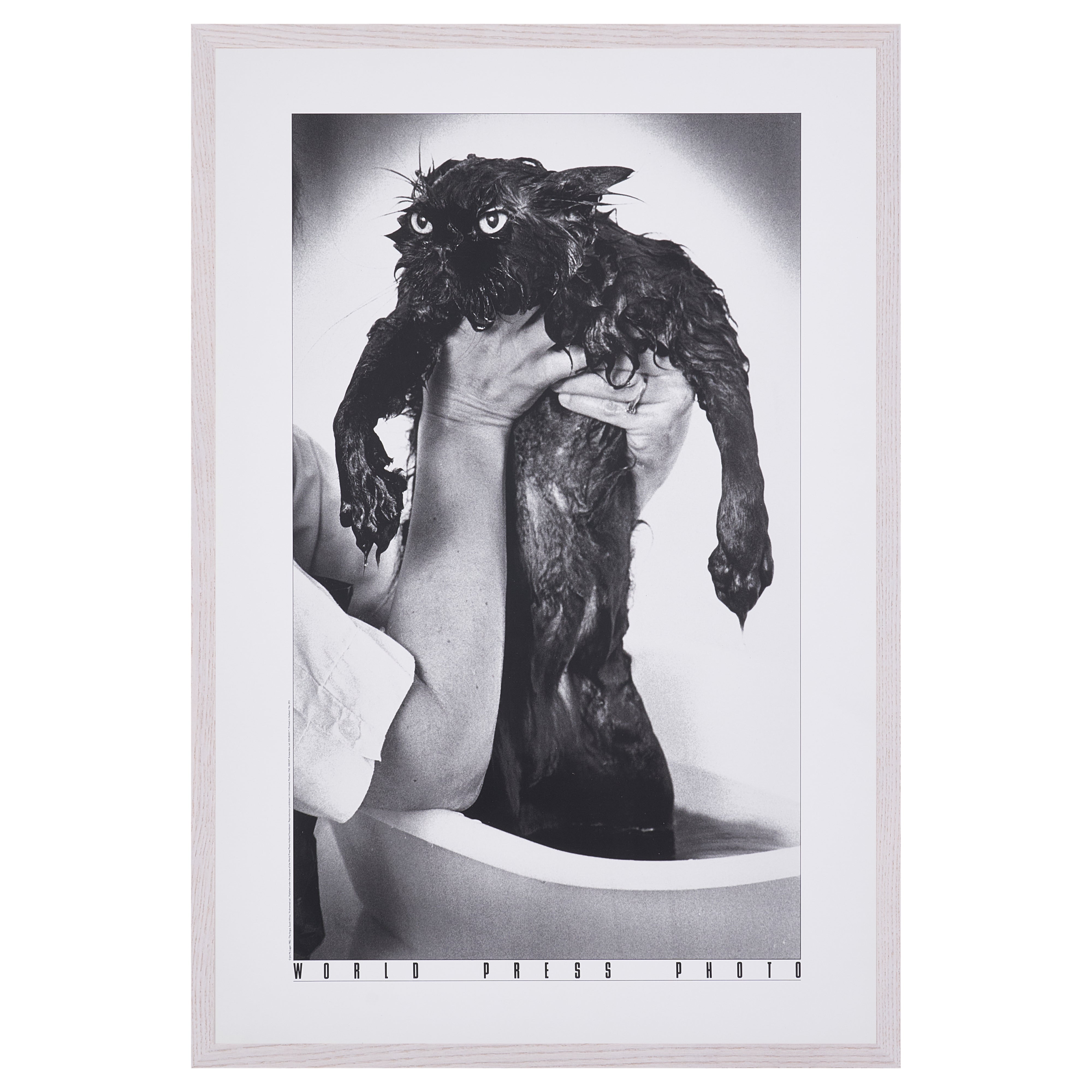 【限定20枚】A Drowned Cat 1982 - World Press Photo 1982 / ジム・マクラガン