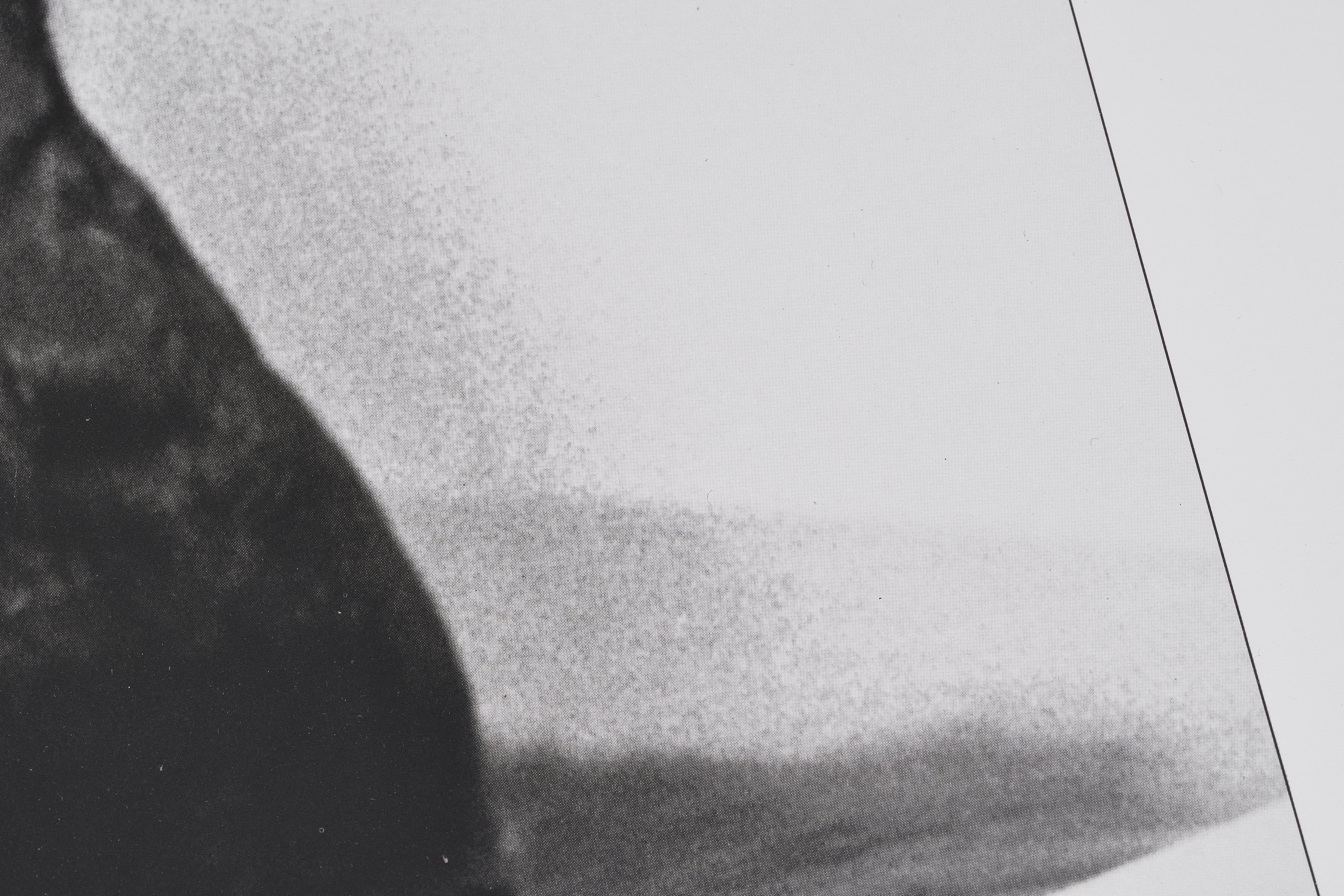 【限定20枚】A Drowned Cat 1982 - World Press Photo 1982 / ジム・マクラガン