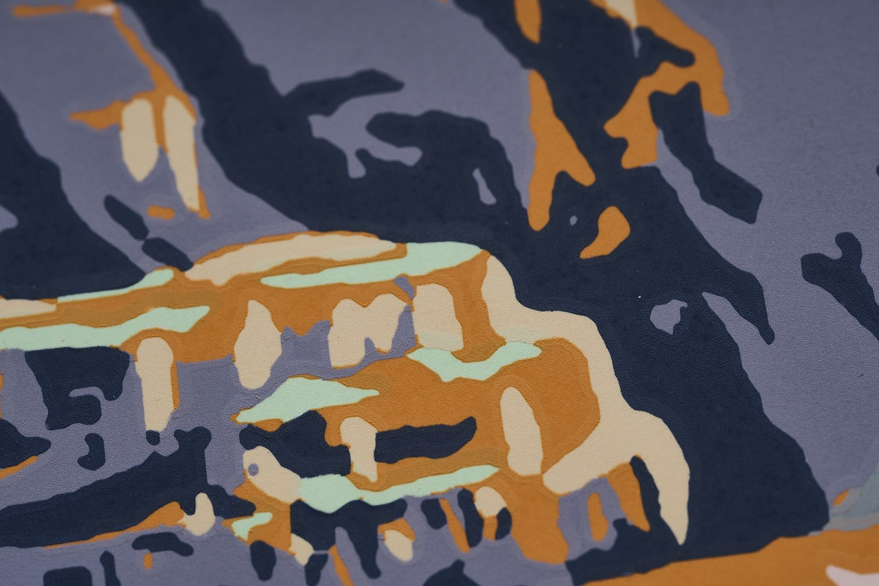 再入荷【限定3枚】グランド・キャニオン国立公園 / アメリカ国立公園ポスター