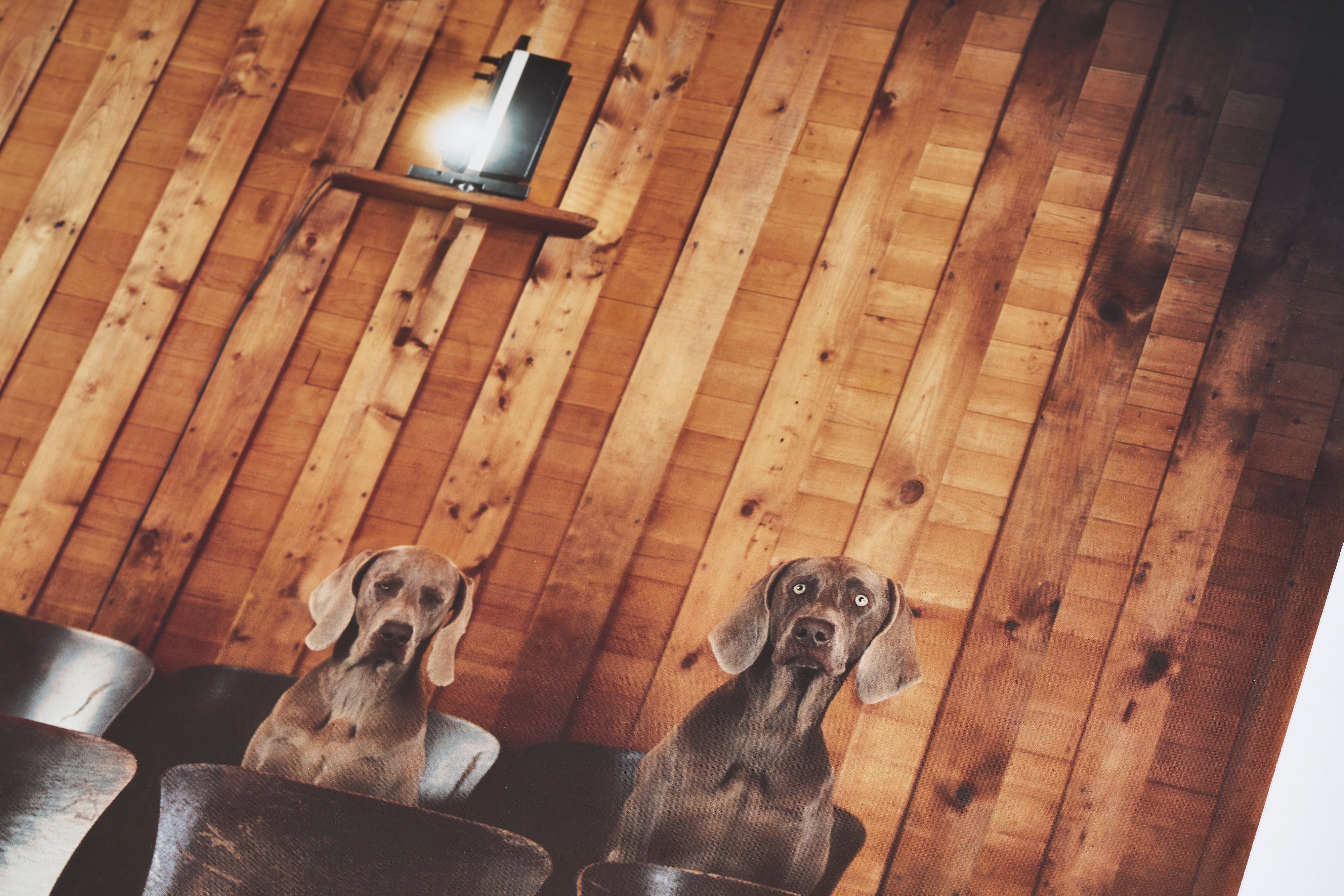 【限定10枚】SCARY MOVIE 1990 - 30TH NEW YORK FILM FESTIVAL 1992 / ウィリアム・ウェグマン