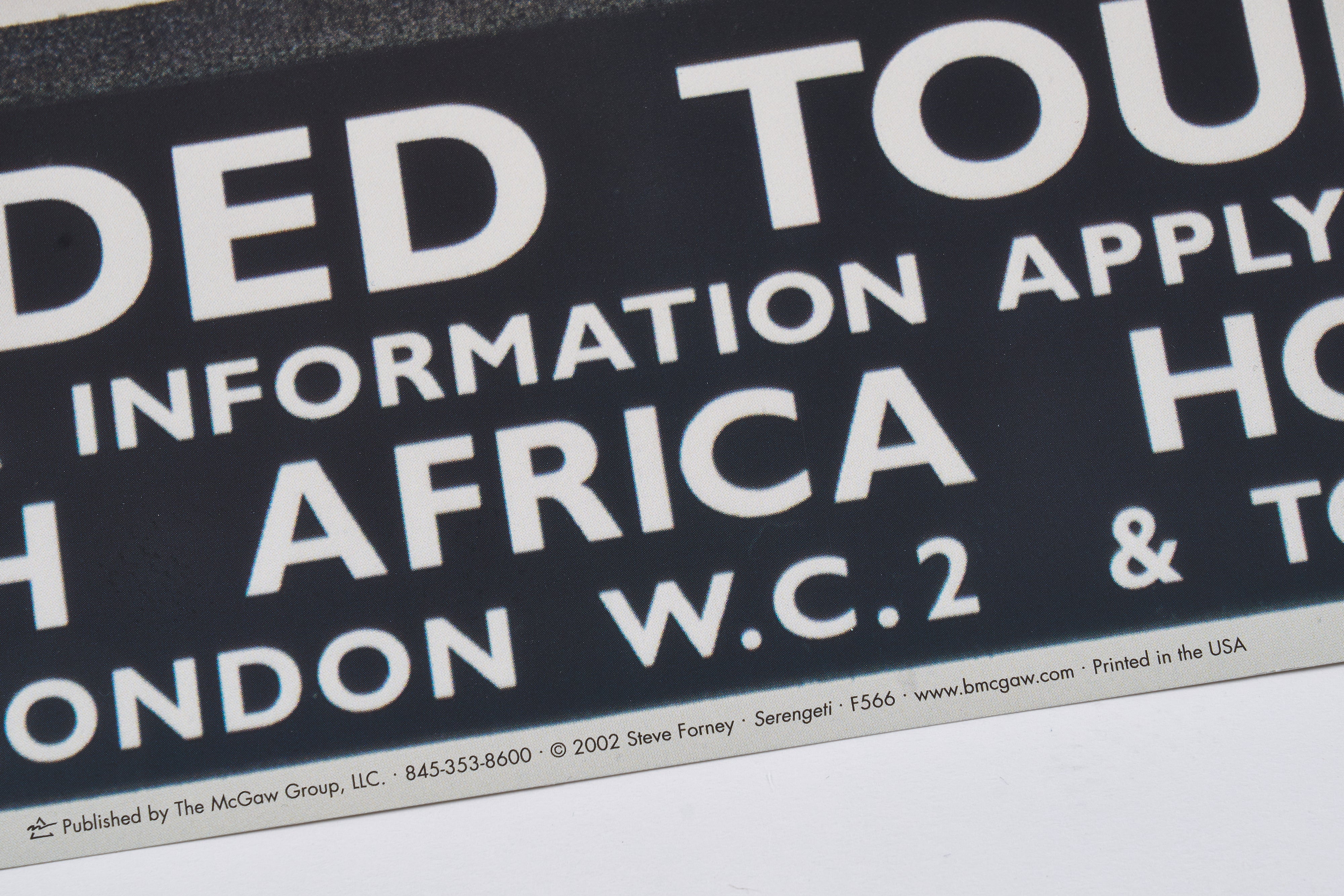 【限定5枚】SEREGENTI 2002 - A tribute to Ullmann's 1930s Art / スティーブ・フォーニー