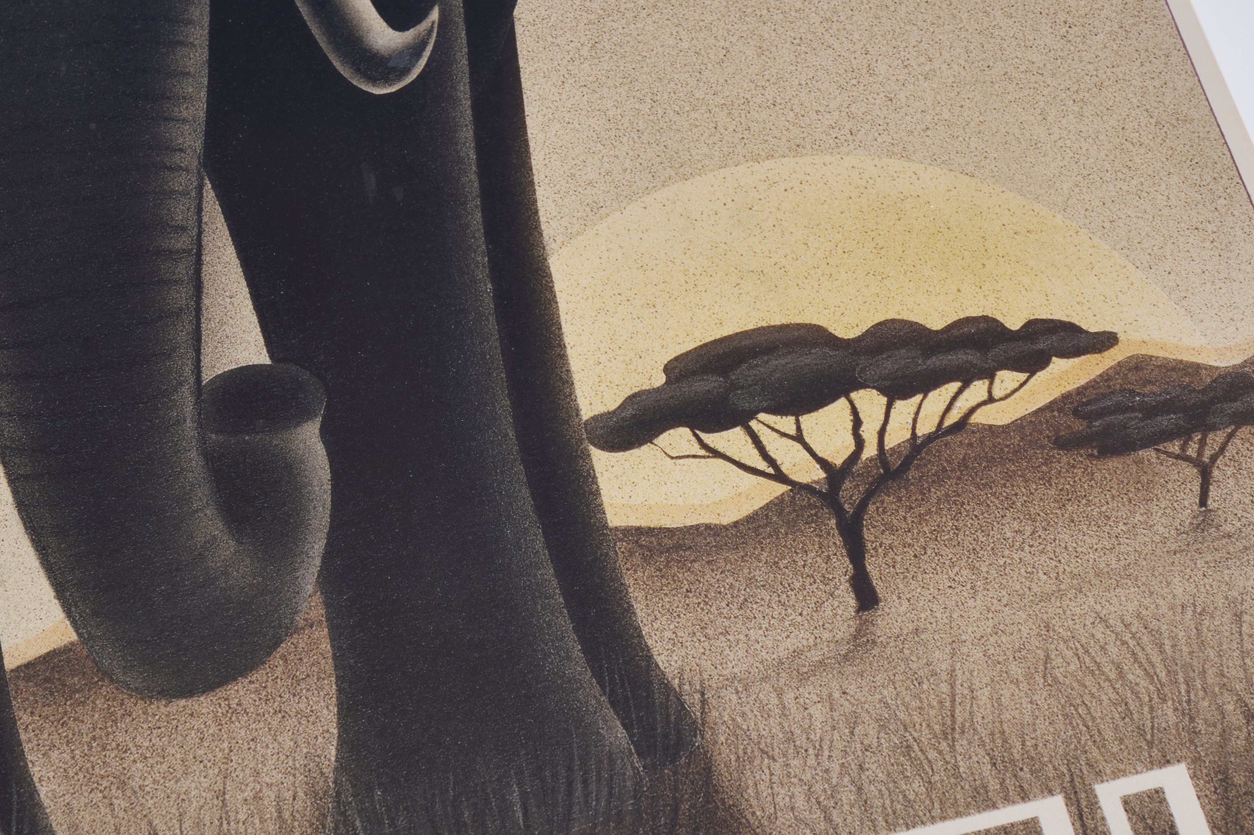 【限定5枚】SEREGENTI 2002 - A tribute to Ullmann's 1930s Art / スティーブ・フォーニー