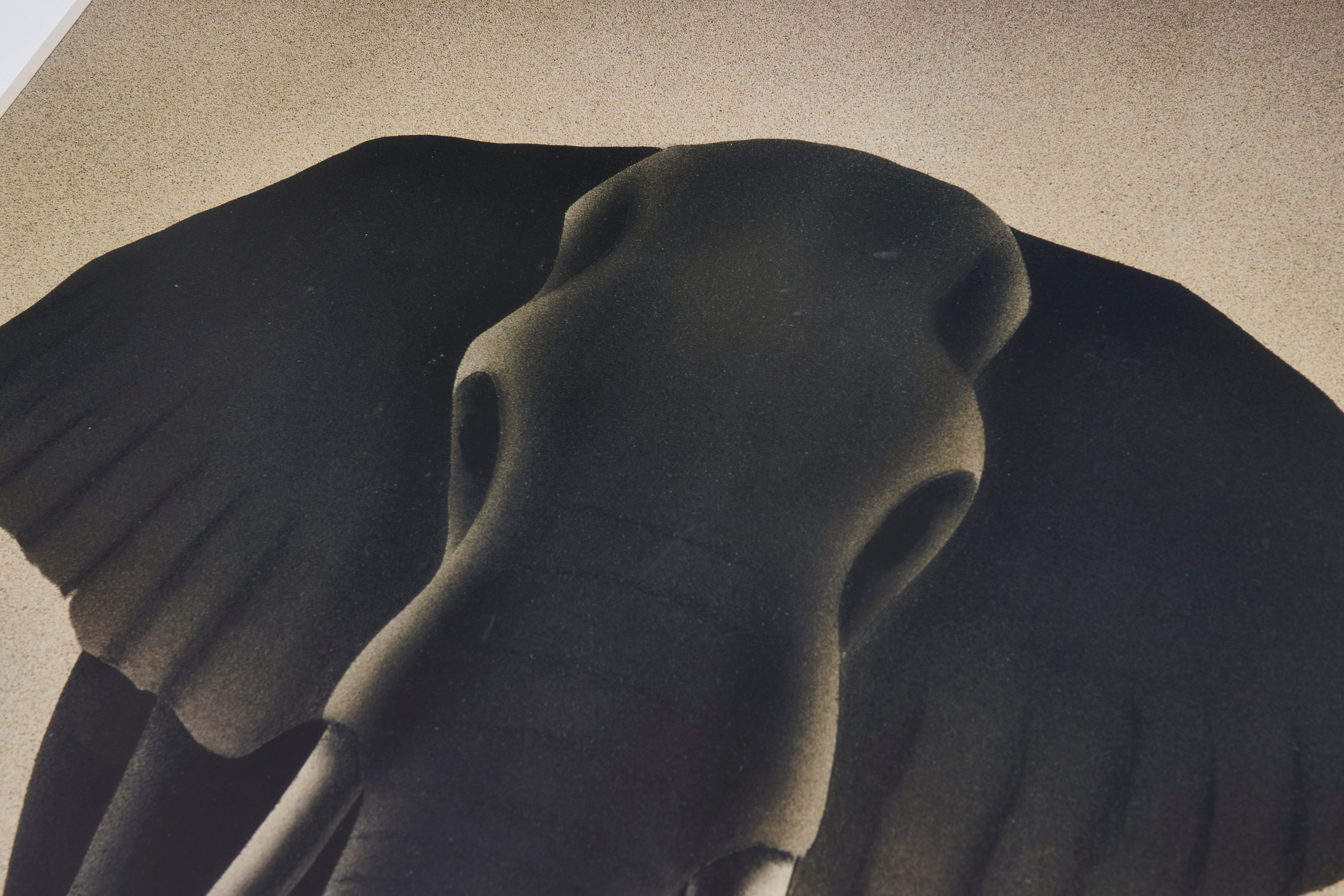 【限定5枚】SEREGENTI 2002 - A tribute to Ullmann's 1930s Art / スティーブ・フォーニー