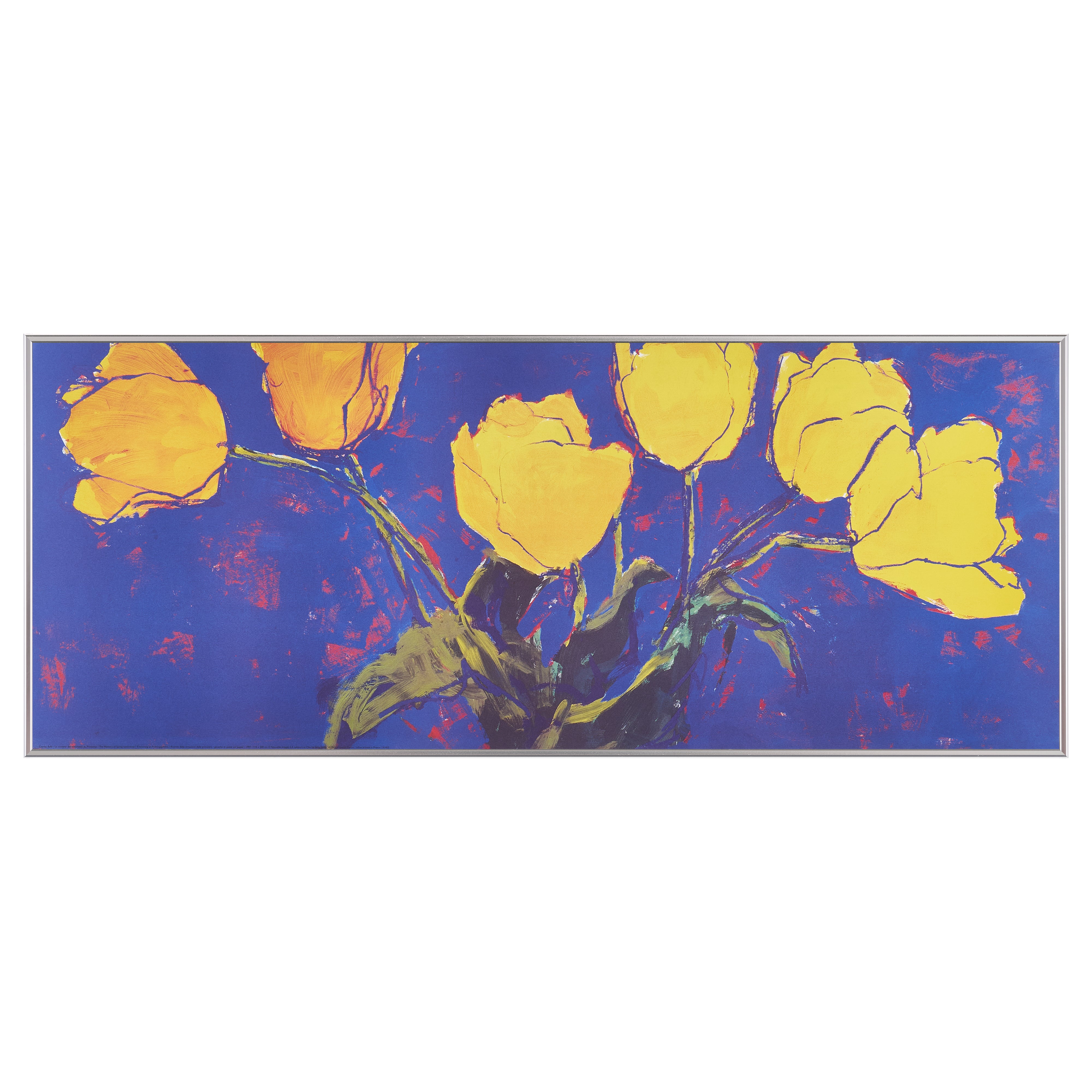 完売【限定5枚】Le souvenir des sentiments du Printemps 1997 - Nouvelles Images 1998 / シャルル・ベル