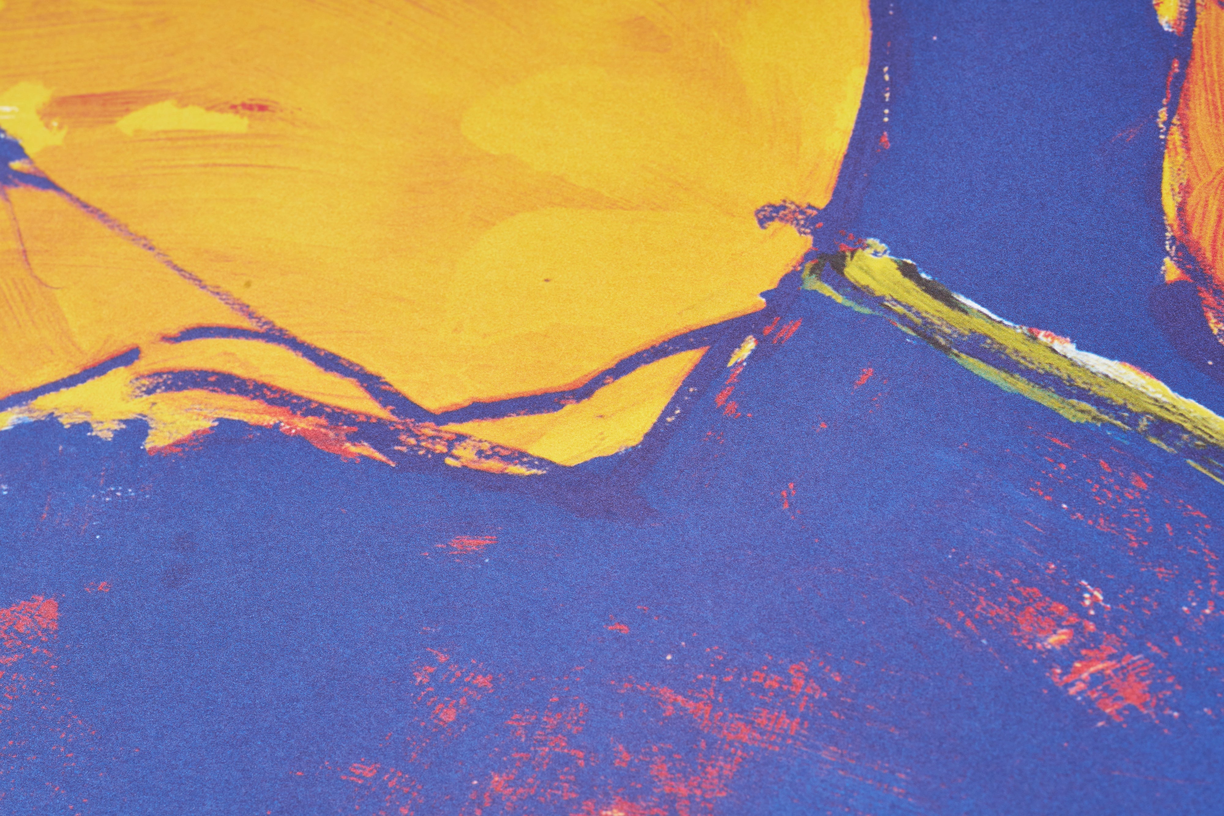 完売【限定5枚】Le souvenir des sentiments du Printemps 1997 - Nouvelles Images 1998 / シャルル・ベル