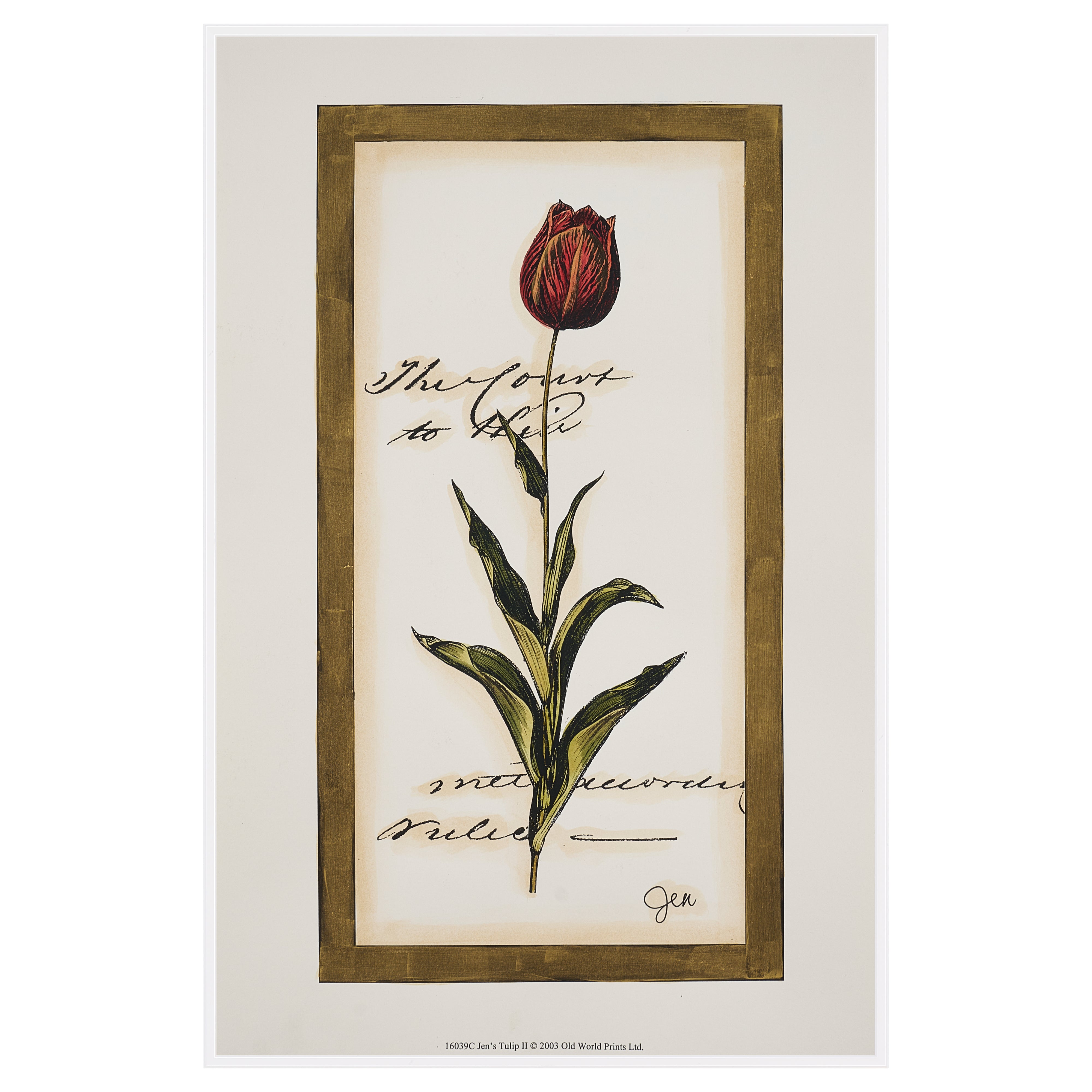 【限定5枚】Jen’s Tulip II -Old World Prints 2003 / アノニマス