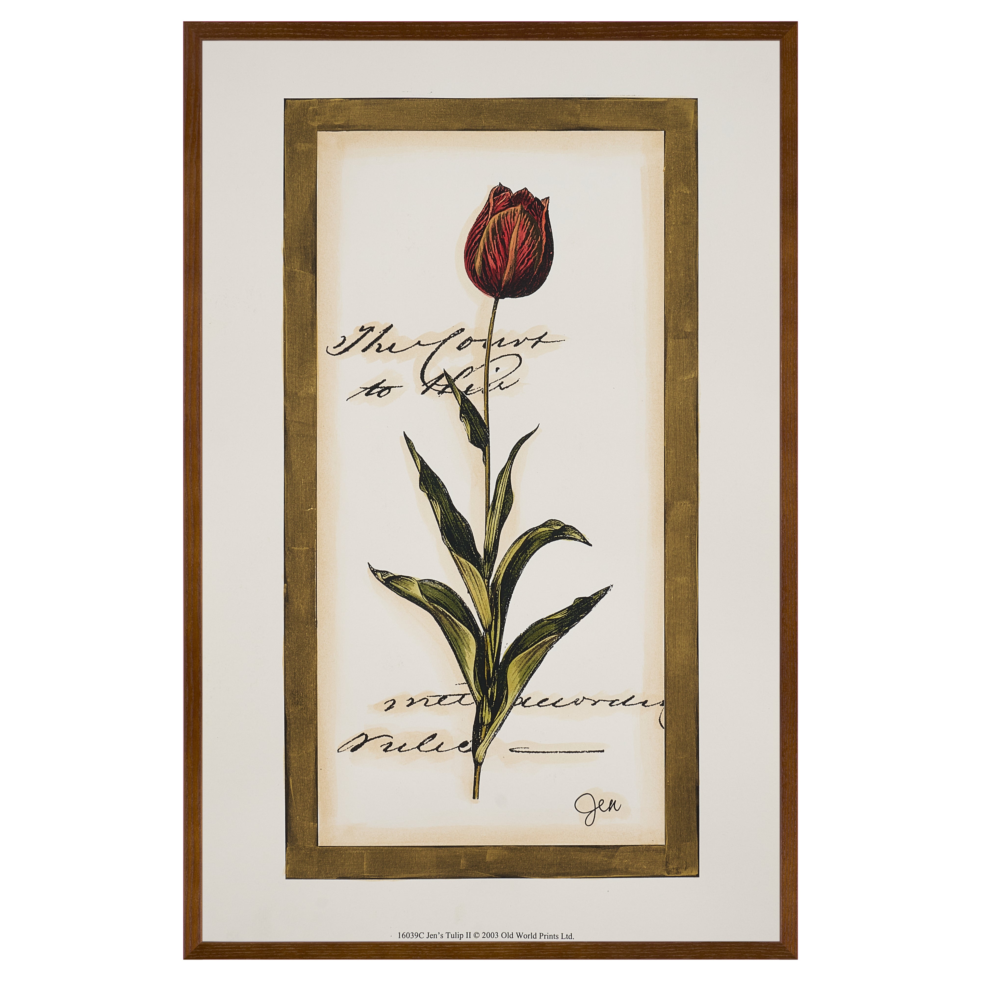 【限定5枚】Jen’s Tulip II -Old World Prints 2003 / アノニマス