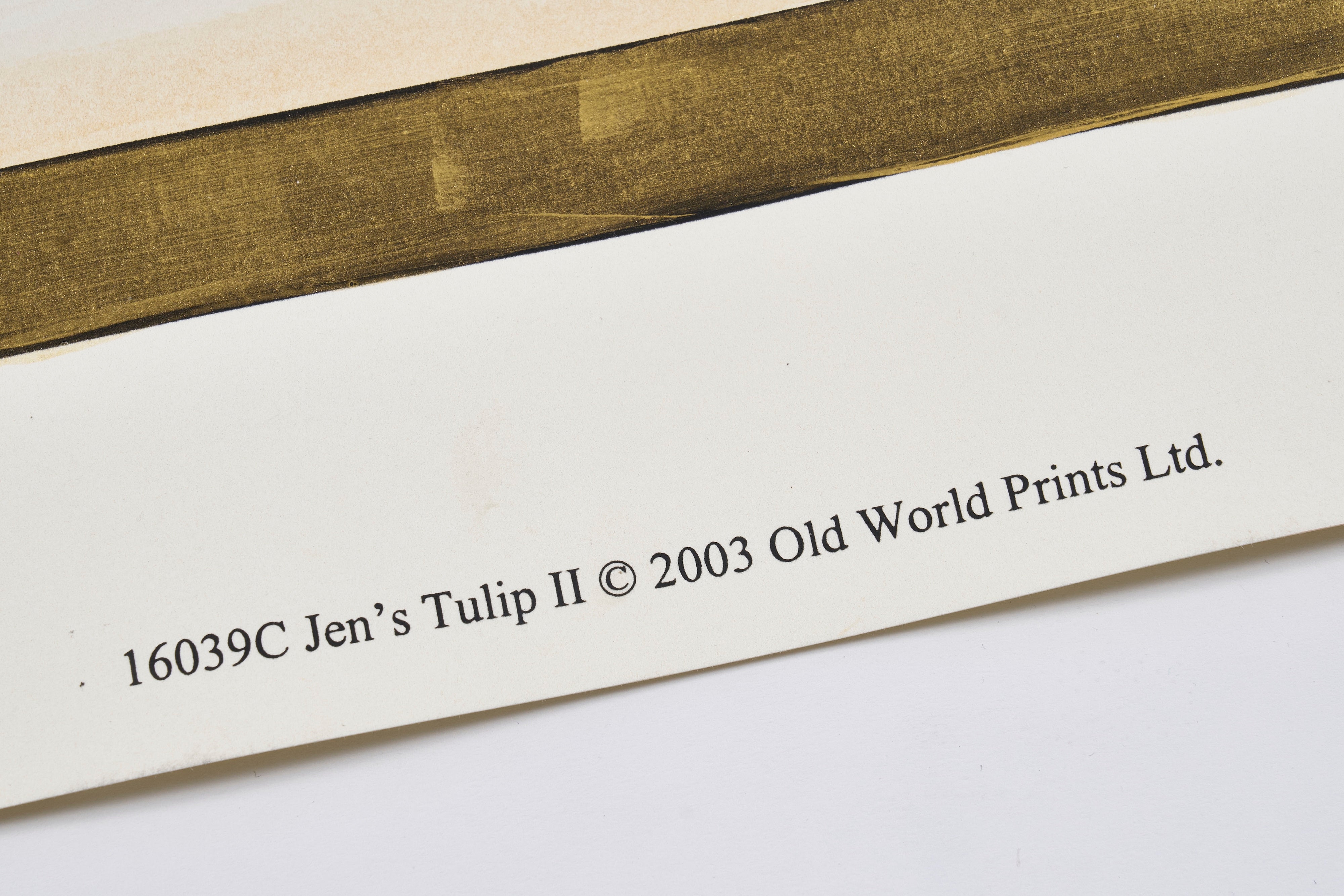 【限定5枚】Jen’s Tulip II -Old World Prints 2003 / アノニマス