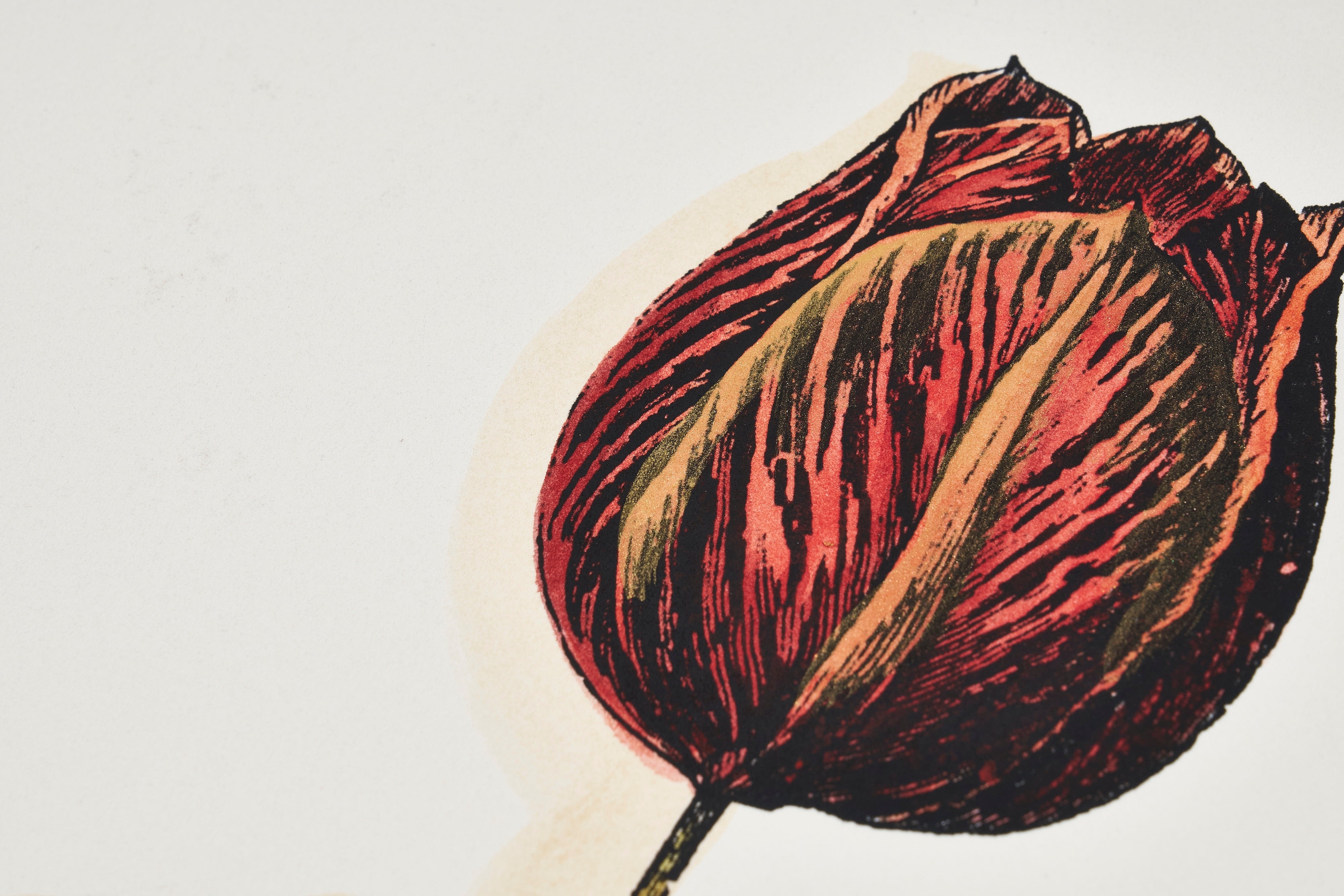 【限定5枚】Jen’s Tulip II -Old World Prints 2003 / アノニマス