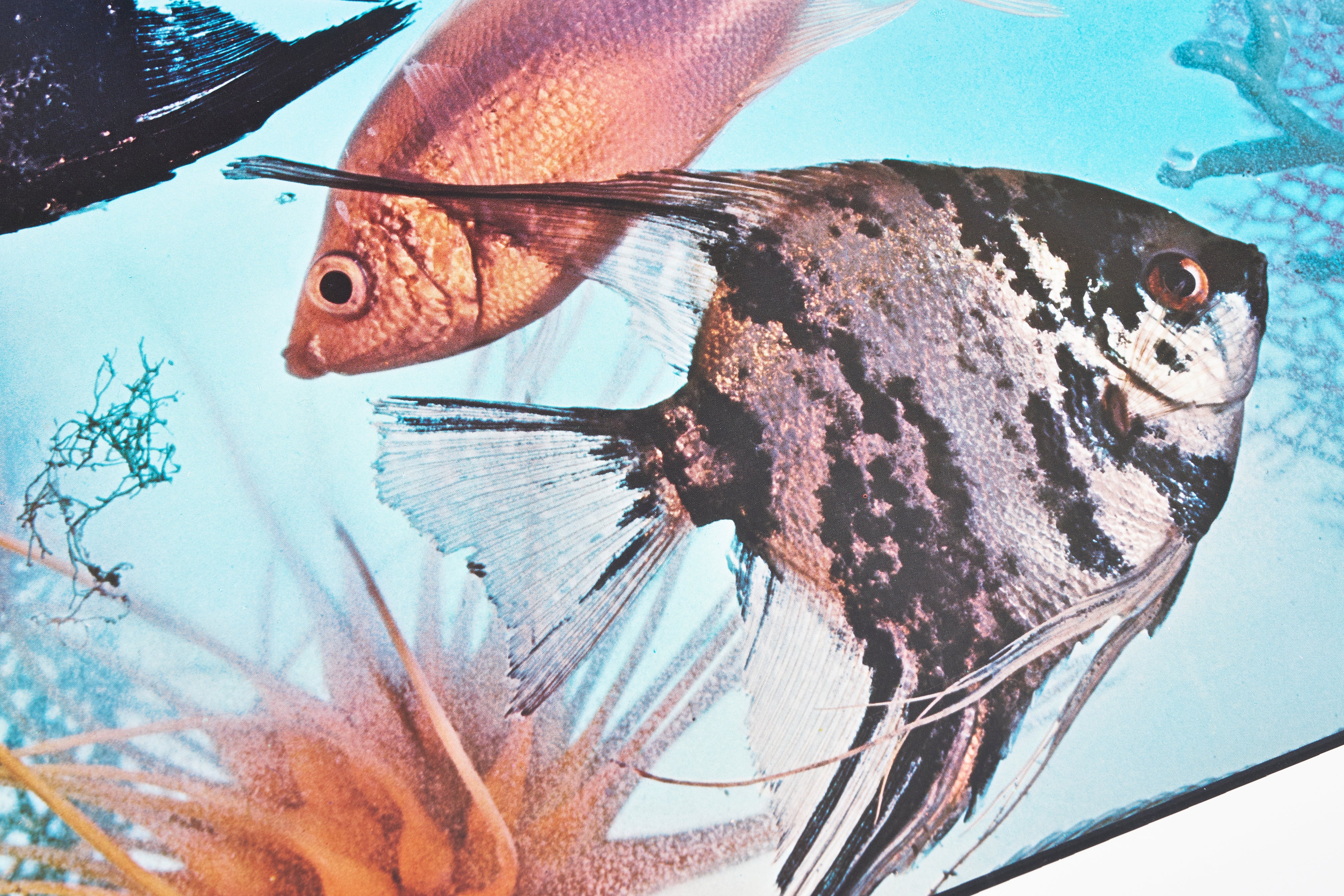 【限定10枚】Save Our Planet Save Our Water 1971 / ロイ・リキテンスタイン