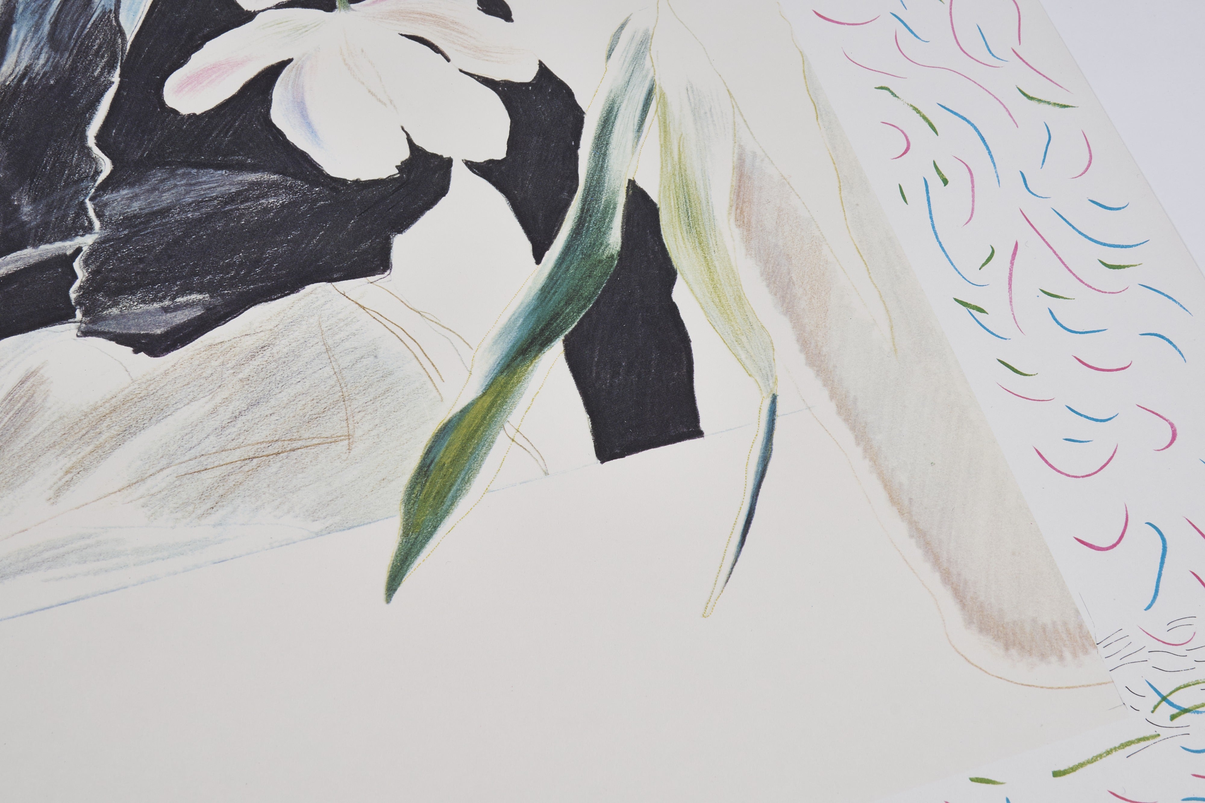 【限定10枚】Celia in Black Dress with White Flowers 1972 - TATE GALLERY 1980 / デイヴィッド・ホックニー