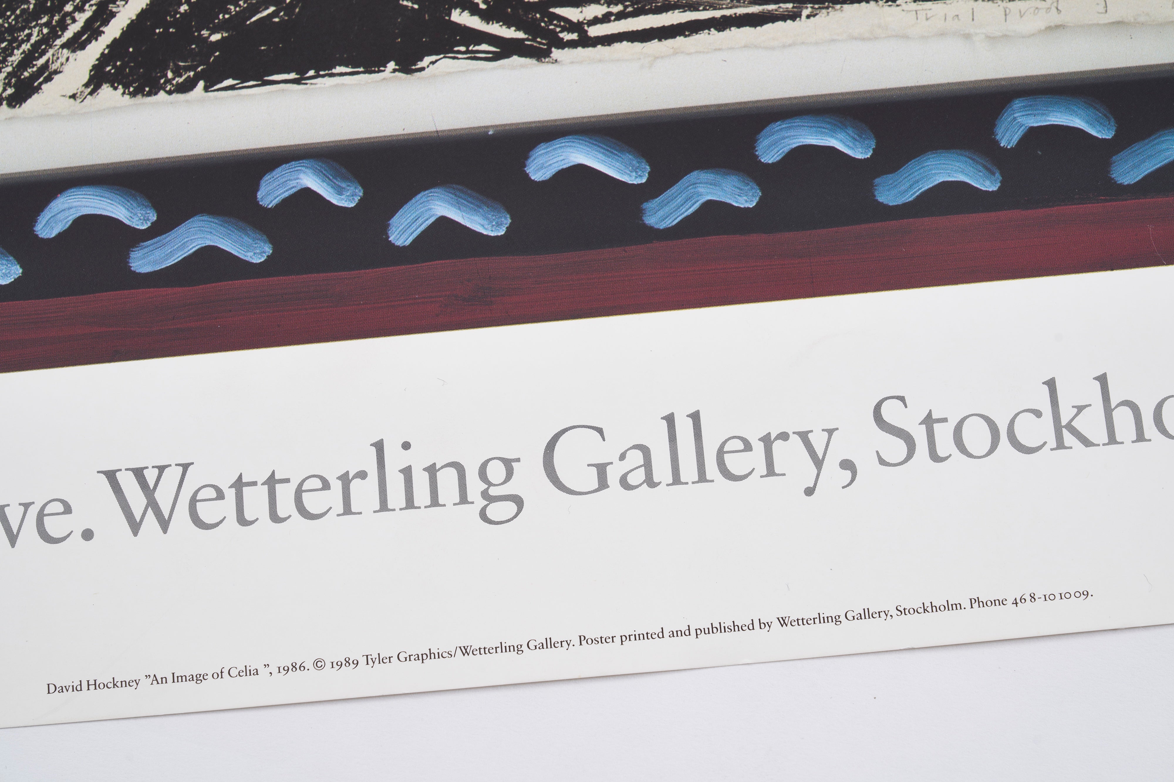 【限定10枚】An Image of Celia 1986 - Wetterling Gallery 1989 / デイヴィッド・ホックニー