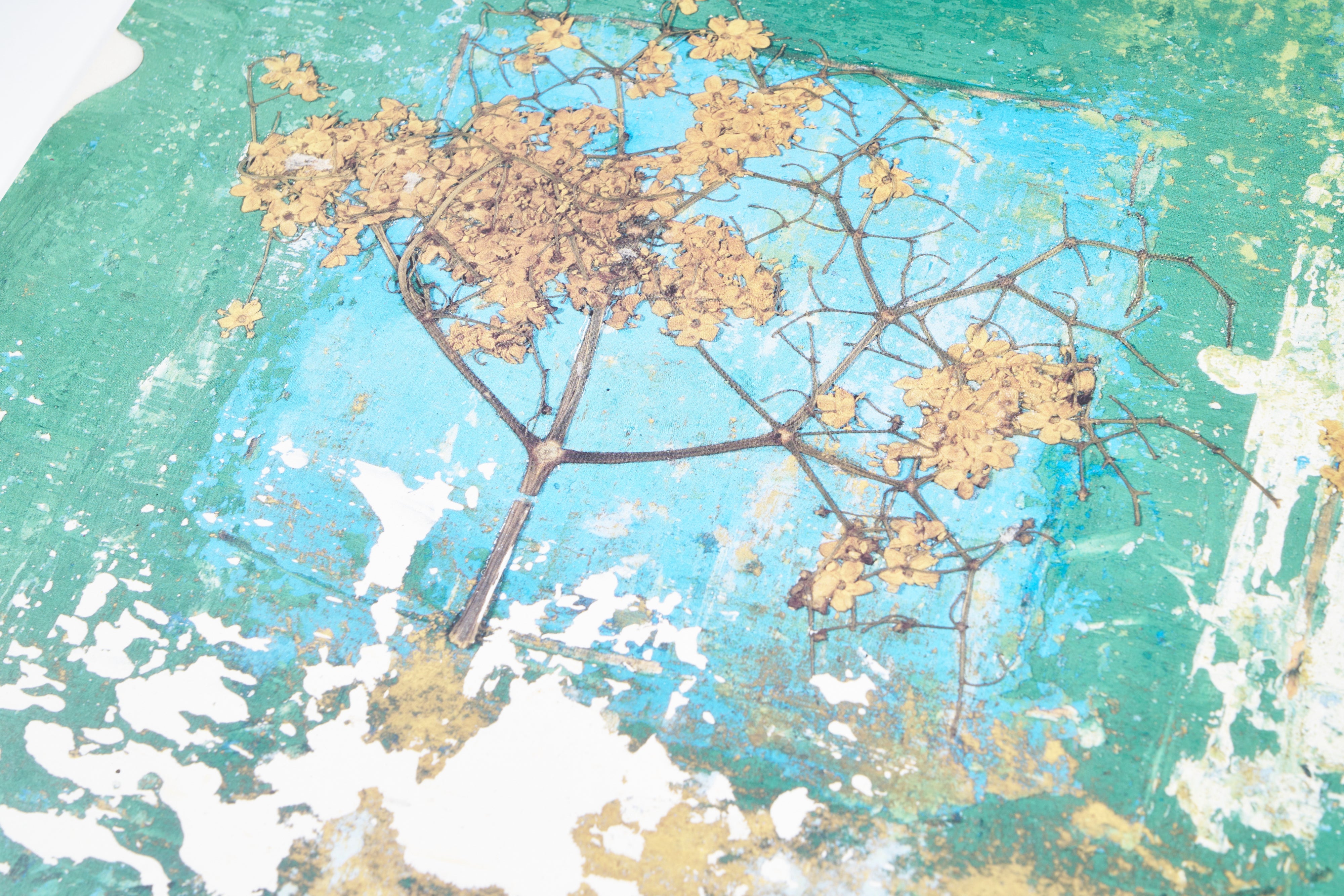 【限定5枚】APPARIZIONE - LEM EDITIONS 1989 / グラツィエラ・ベティナルディ