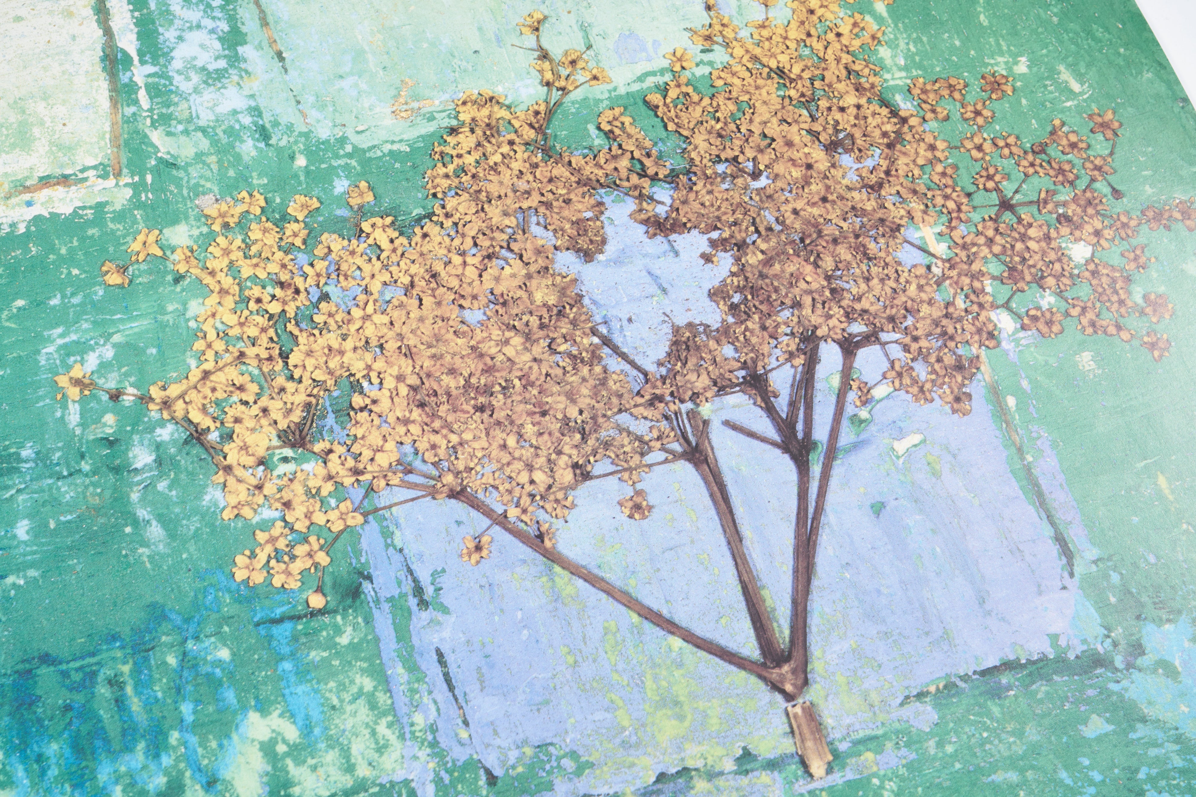 【限定5枚】APPARIZIONE - LEM EDITIONS 1989 / グラツィエラ・ベティナルディ