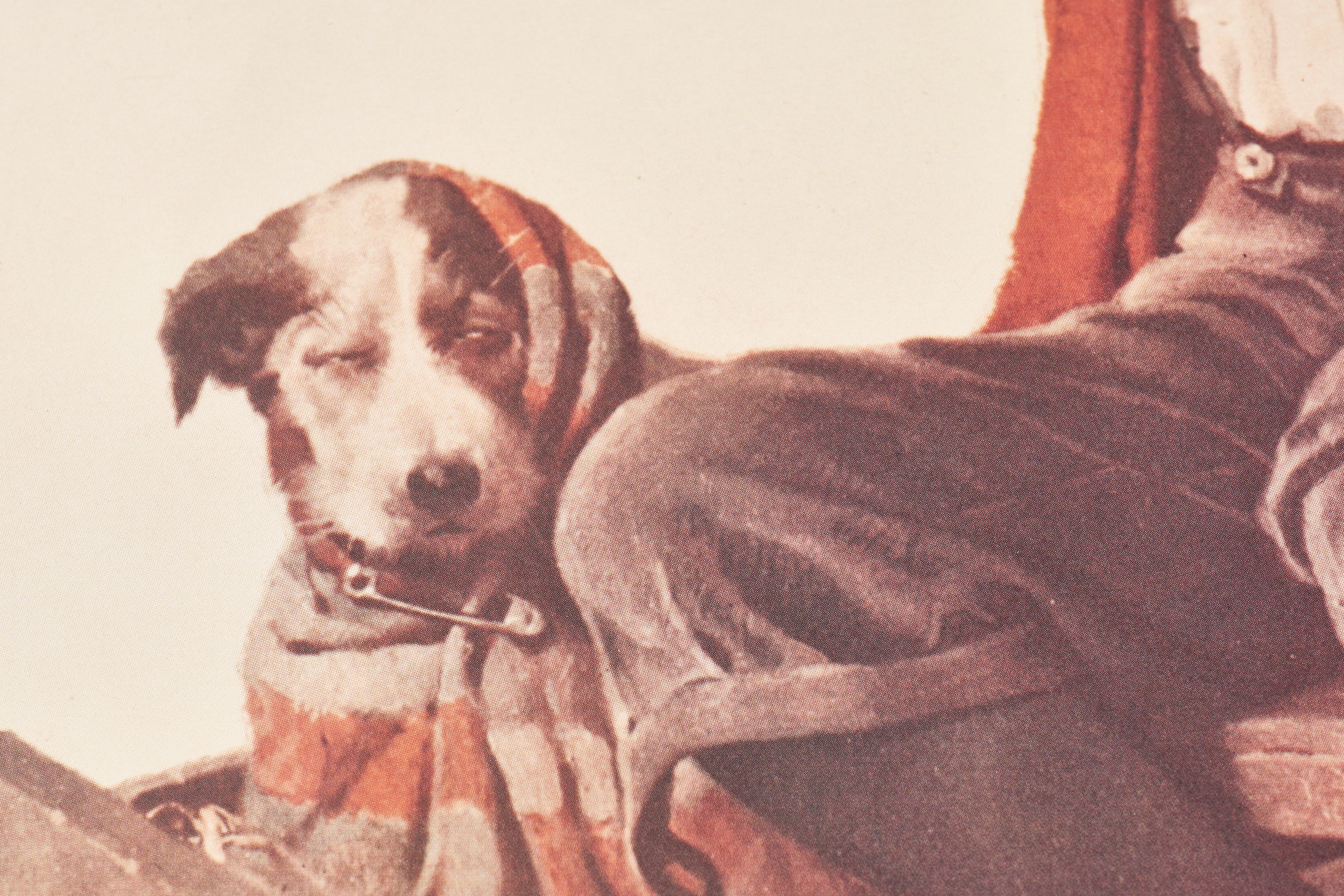 【限定10枚】Bedside Manner 1923 - CURTIS PUBLISHING 1992 (Small) / ノーマン・ロックウェル