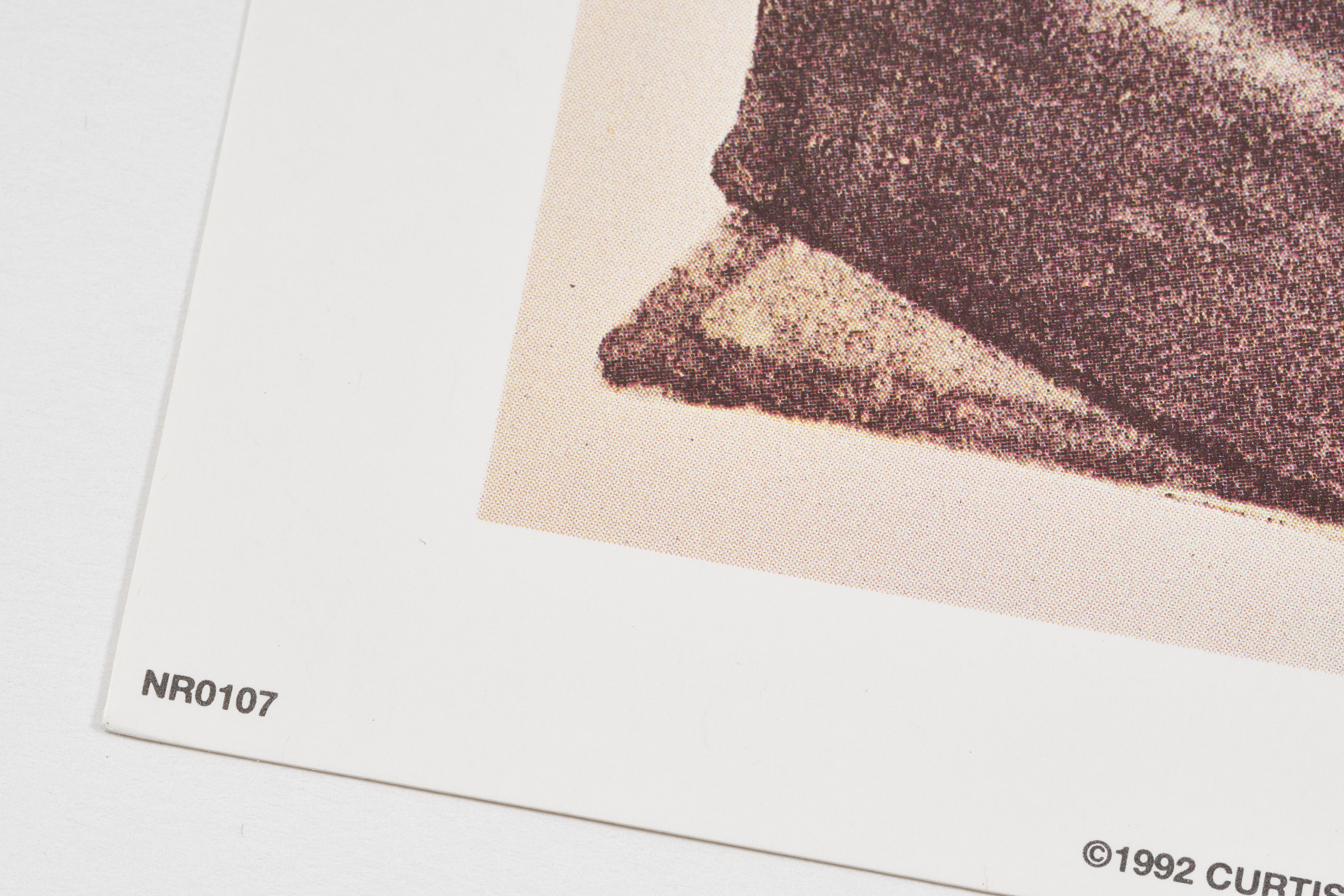 【限定10枚】Doctor and the Doll 1929 - CURTIS PUBLISHING 1992 / ノーマン・ロックウェル