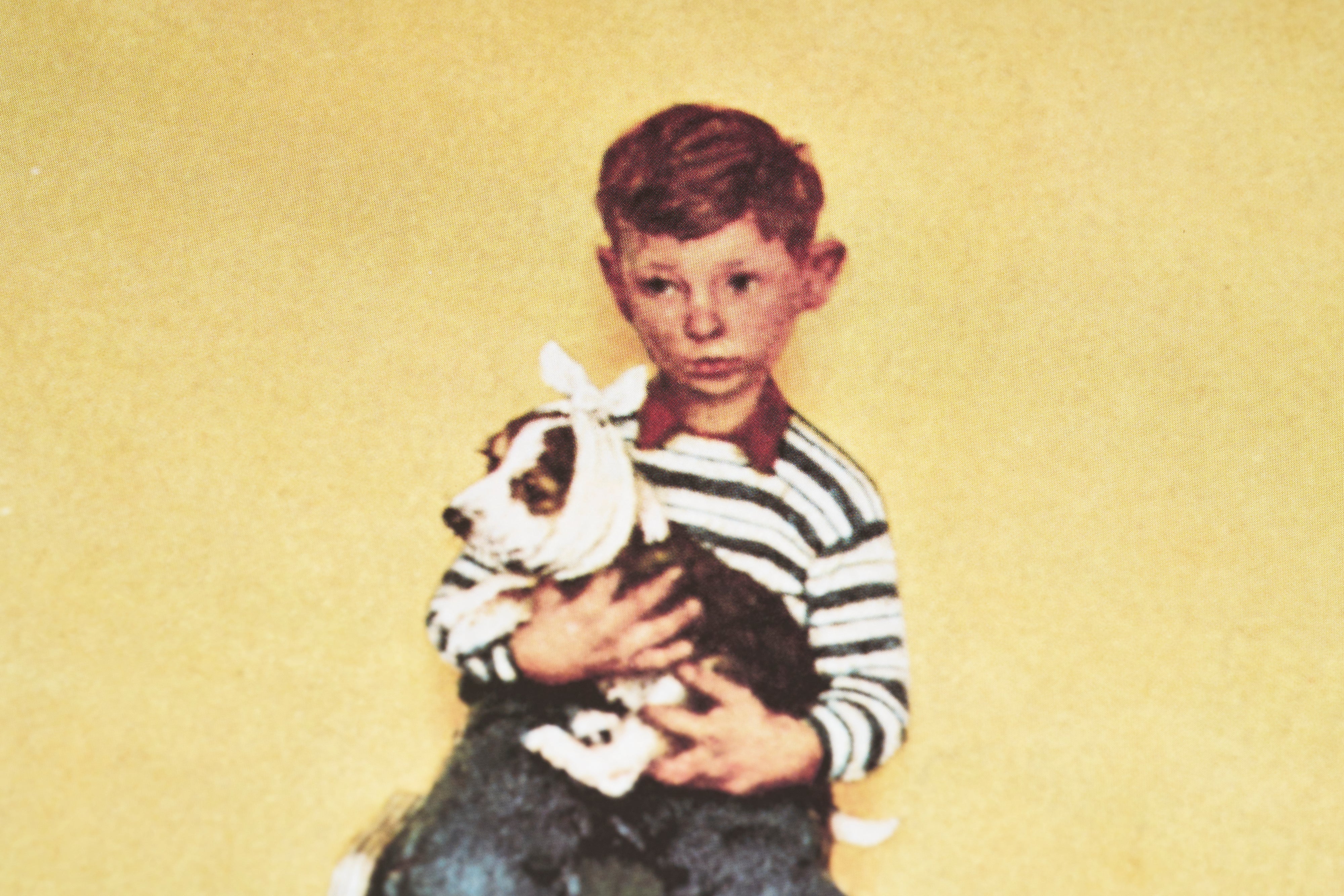 【限定10枚】Waiting for the Vet 1952 - CURTIS PUBLISHING 1992 / ノーマン・ロックウェル