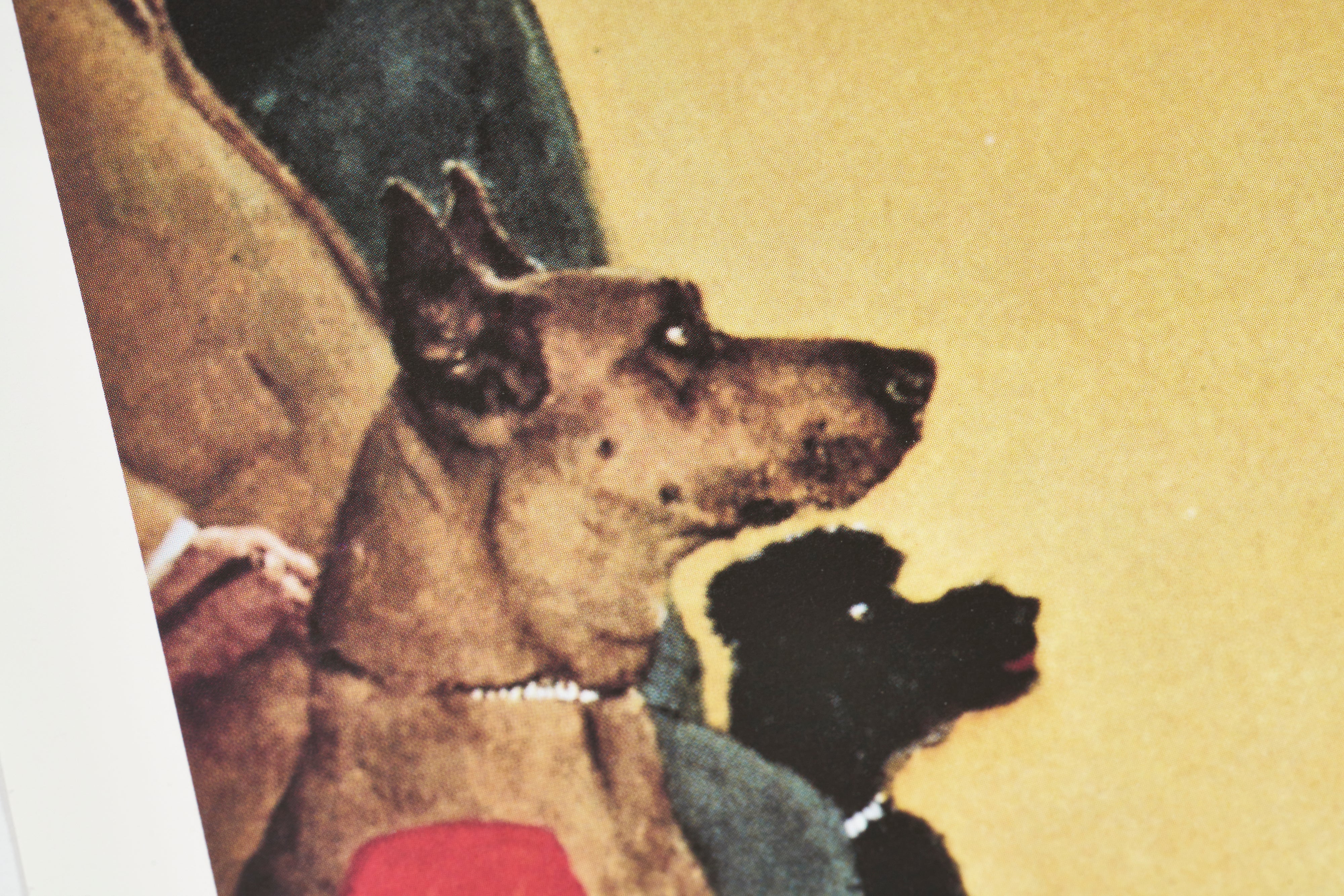 【限定10枚】Waiting for the Vet 1952 - CURTIS PUBLISHING 1992 / ノーマン・ロックウェル