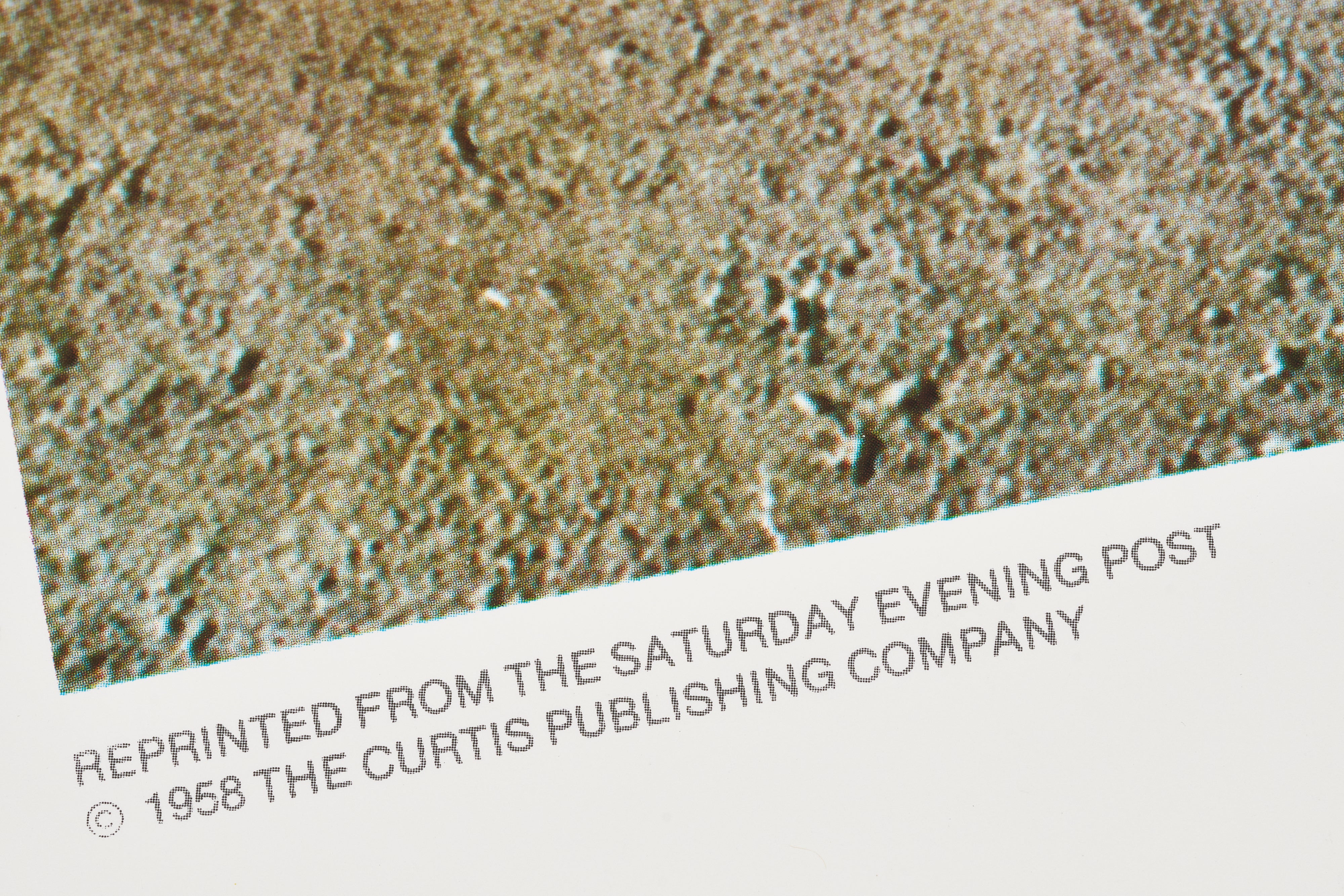 【限定5枚】The Runaway 1958 - CURTIS PUBLISHING 1980s /ノーマン・ロックウェル