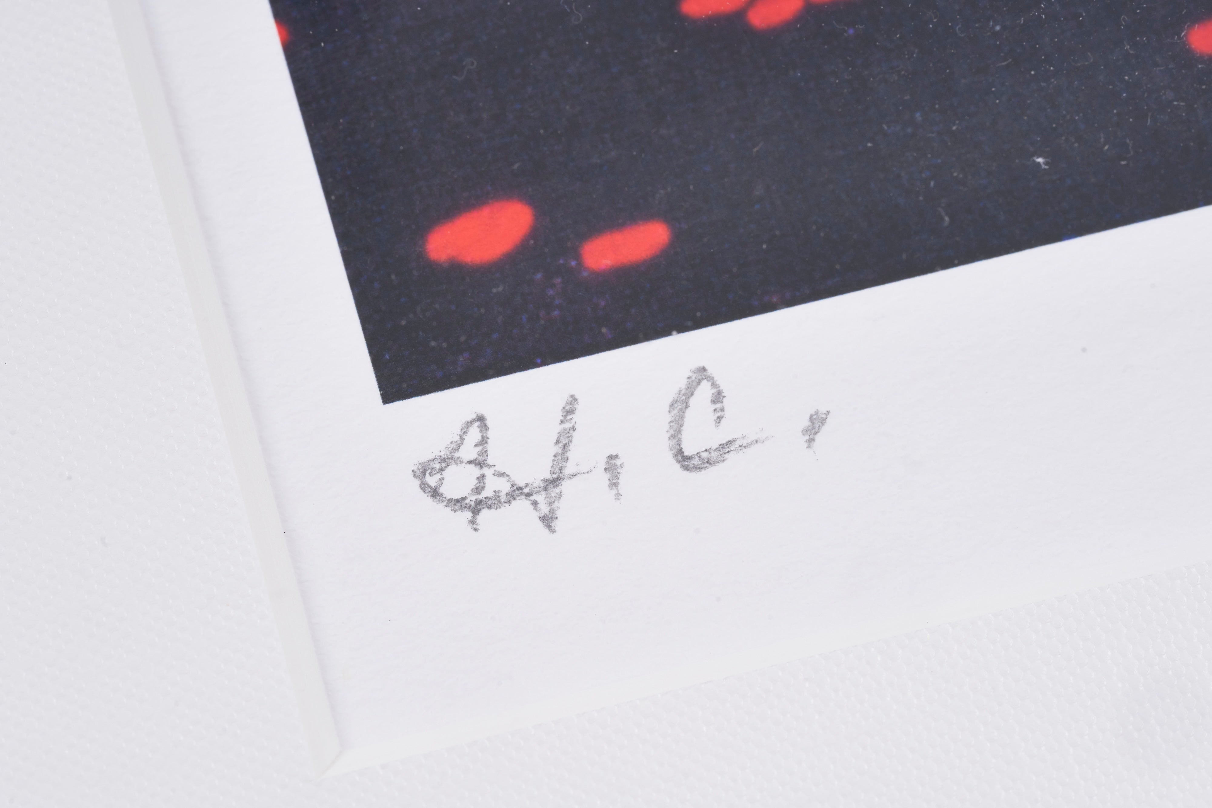 【購入特典付】Wandering Breeze 版画額装品 直筆サイン入り / 永井 博 <限定エディション数:80枚>