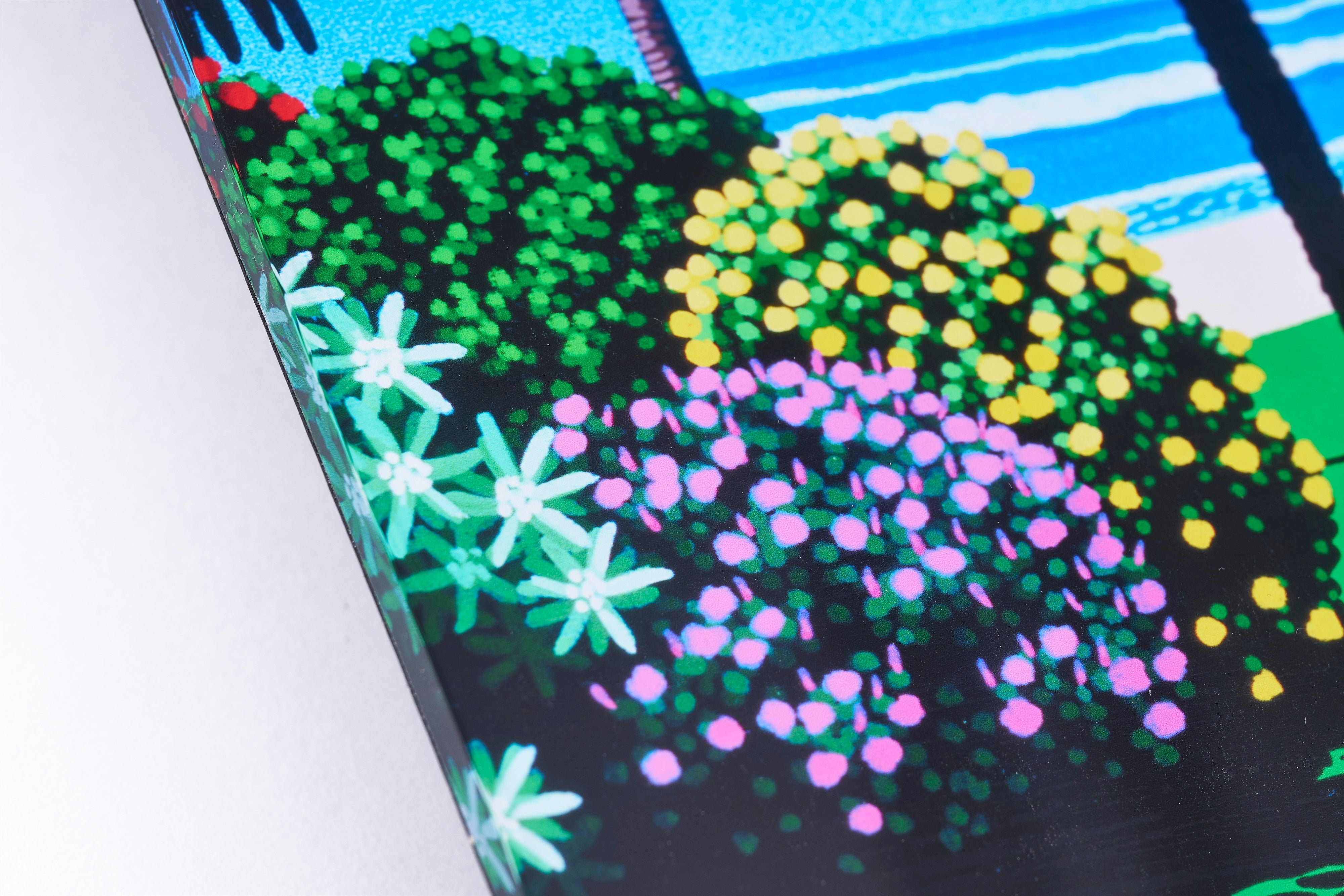 【購入特典付】Chasing Rays, Jazzy Bays エアアクリルアート / 永井 博