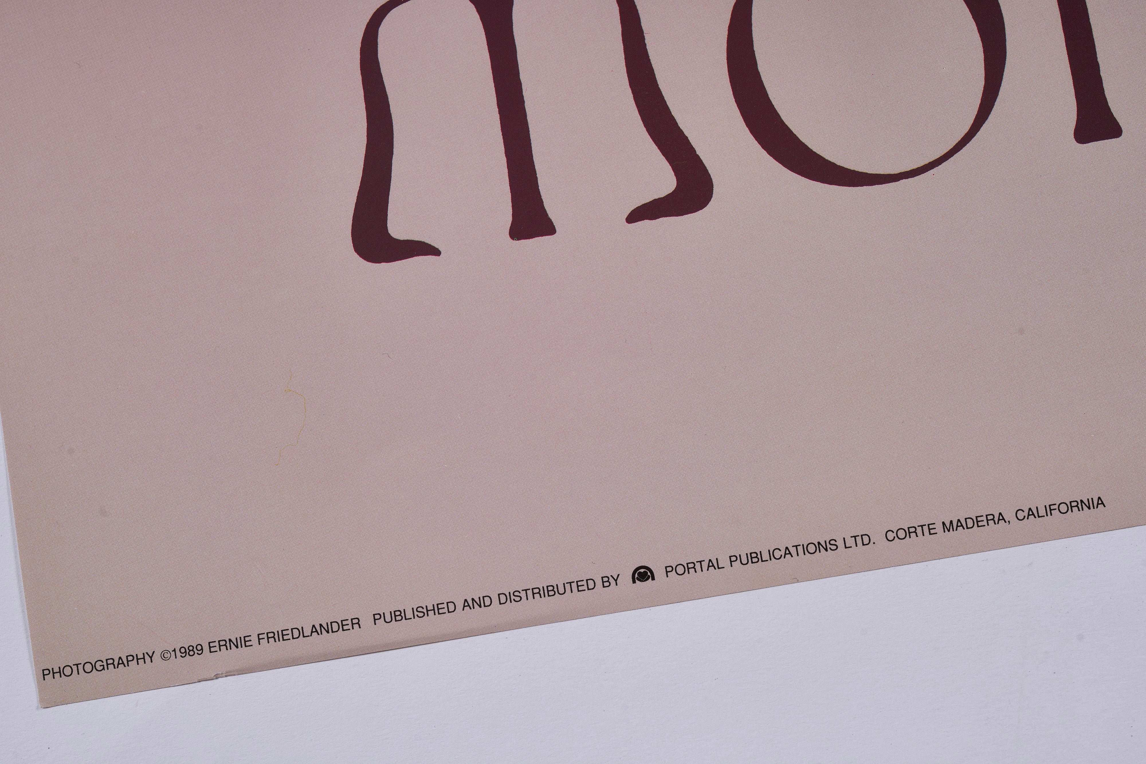 【限定10枚】JIM MORRISON(ジム・モリソン) 1989 / バンドポスター